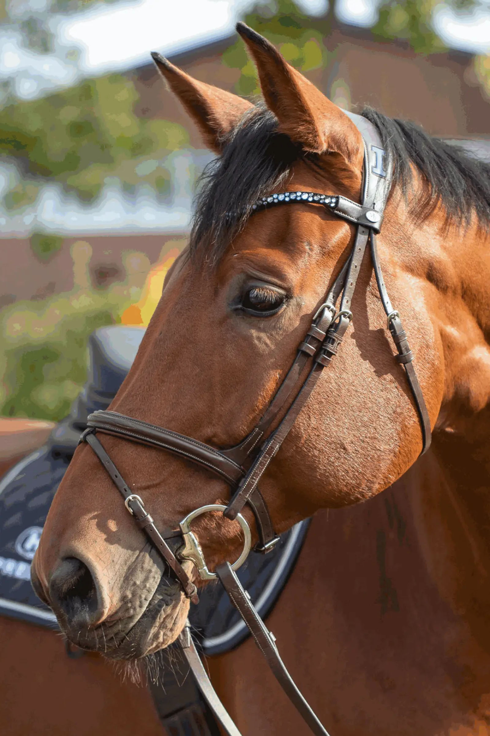 Sprenger Novocontact Muffebitt 14mm Enkeltleddet Sensogan Med D-Formede Ringer