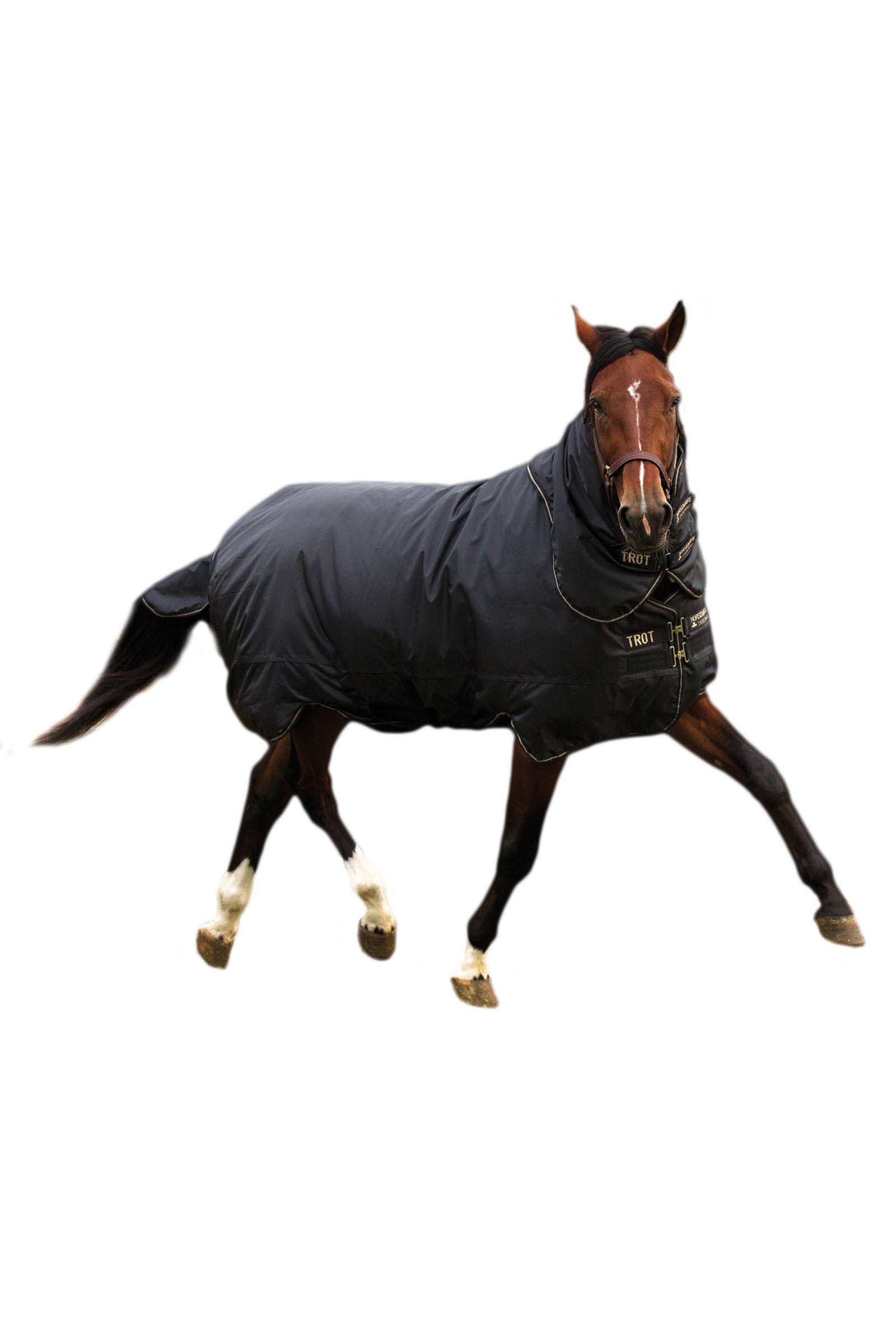 Horseware Trot Plus Utedekken med avtagbart halsstykke, 350g