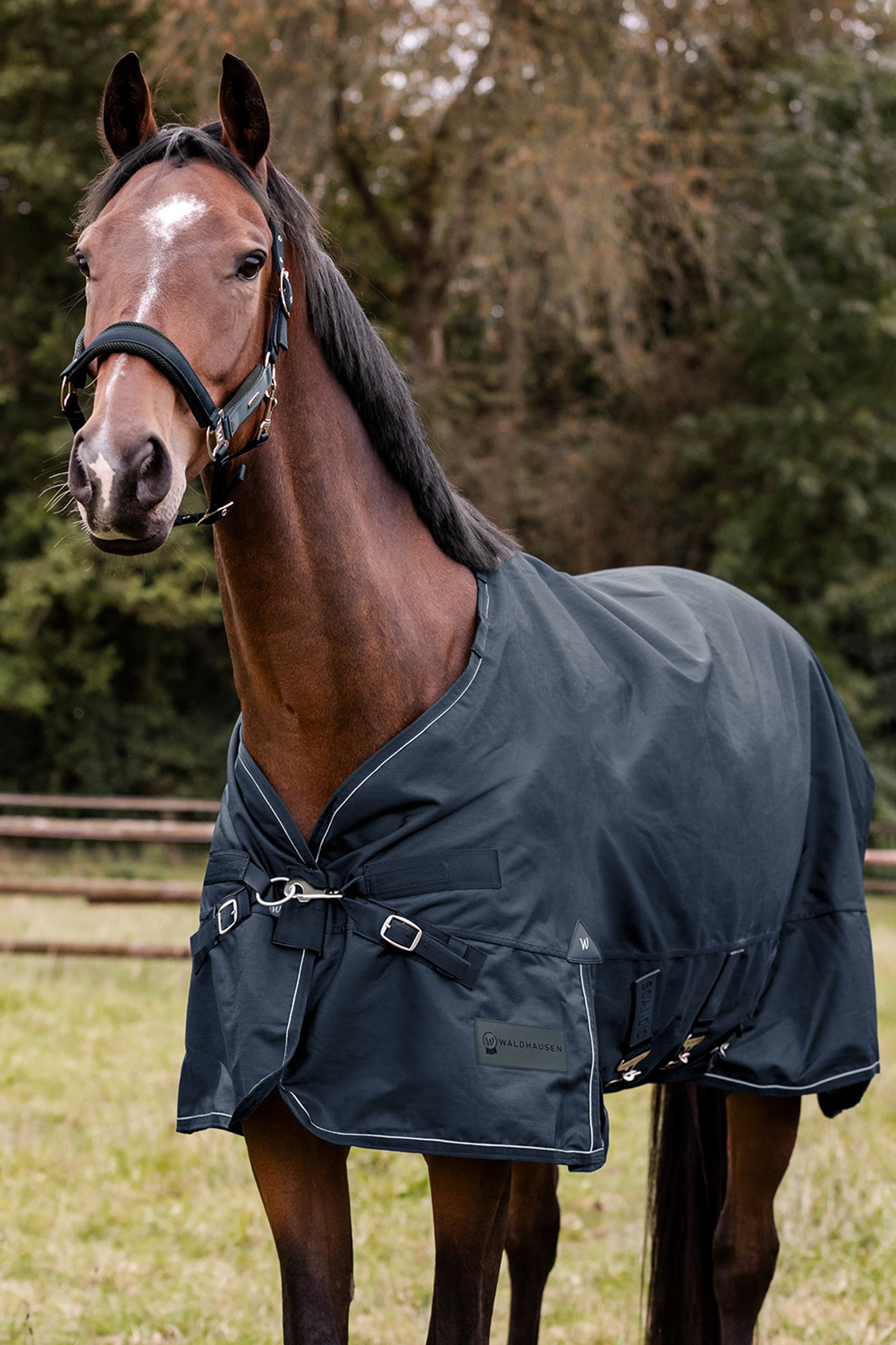 Waldhausen utend&oslash;rsteppe Scandic flerlag 150g/50g