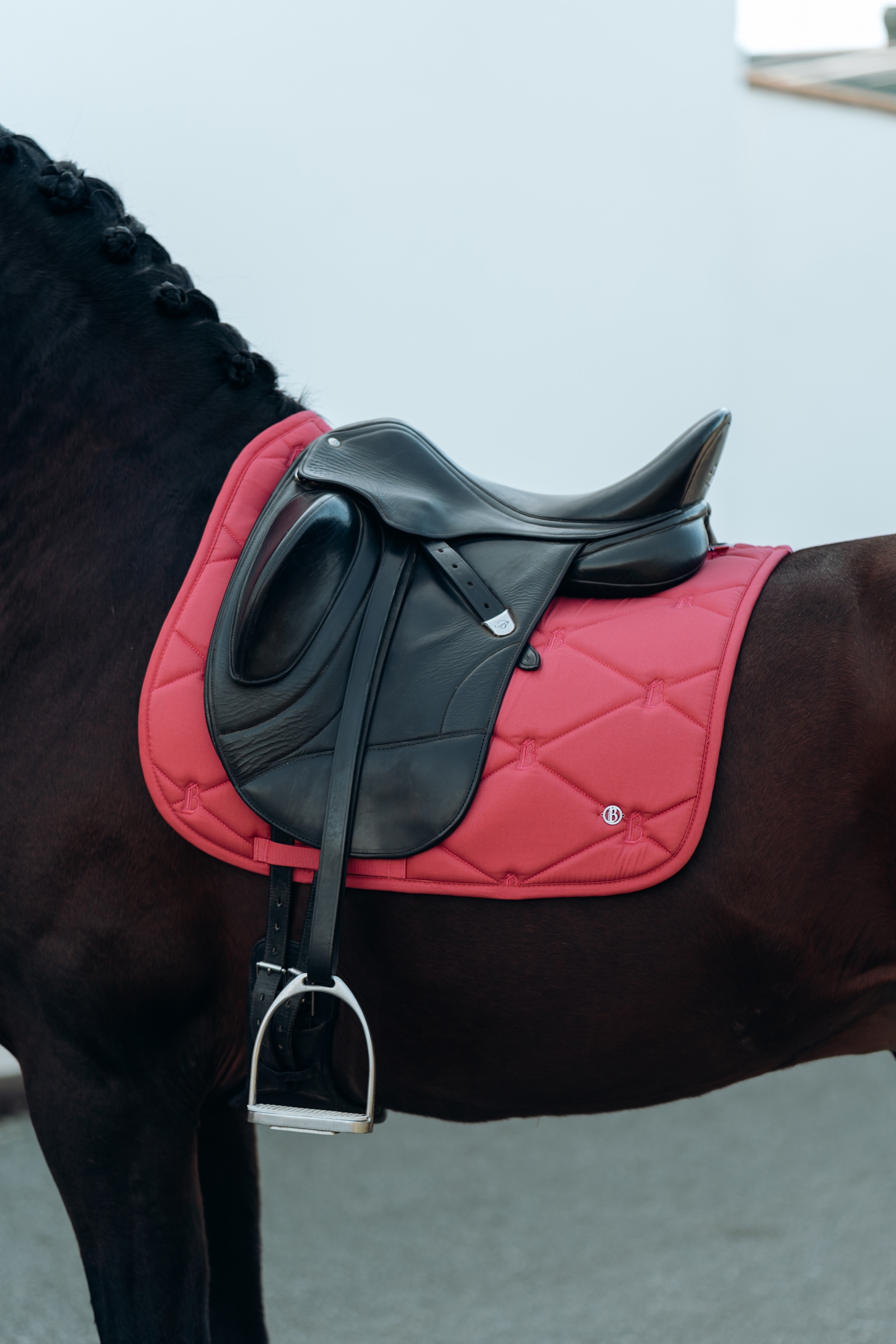 B Vertigo Laurel dressursjabrak