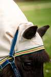 Horseware Amigo Ripstop Hoody Petite, fluedekken
