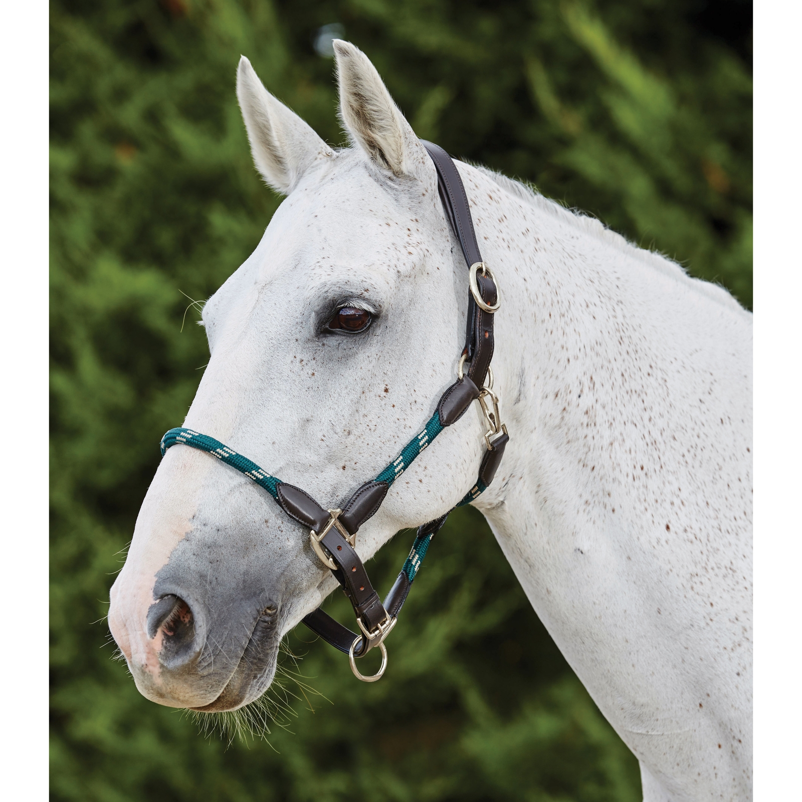 Hunter Green/Brown Kincade grime i lær og tau