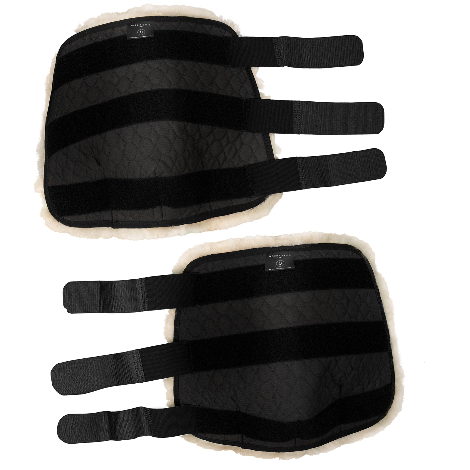 Christ Forbeinsbeskyttere