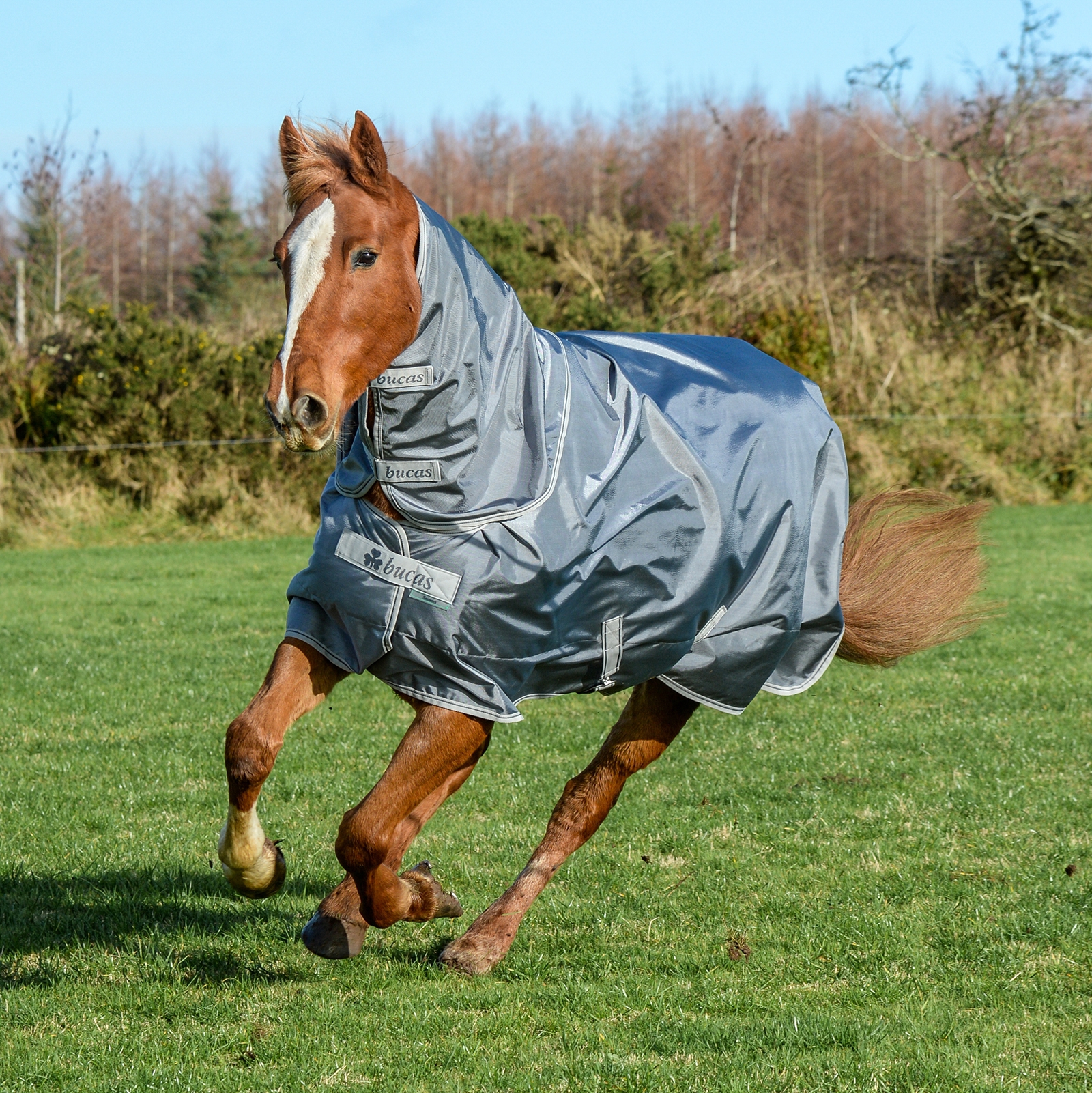 Iron Grey Bucas Smartex Hals 300