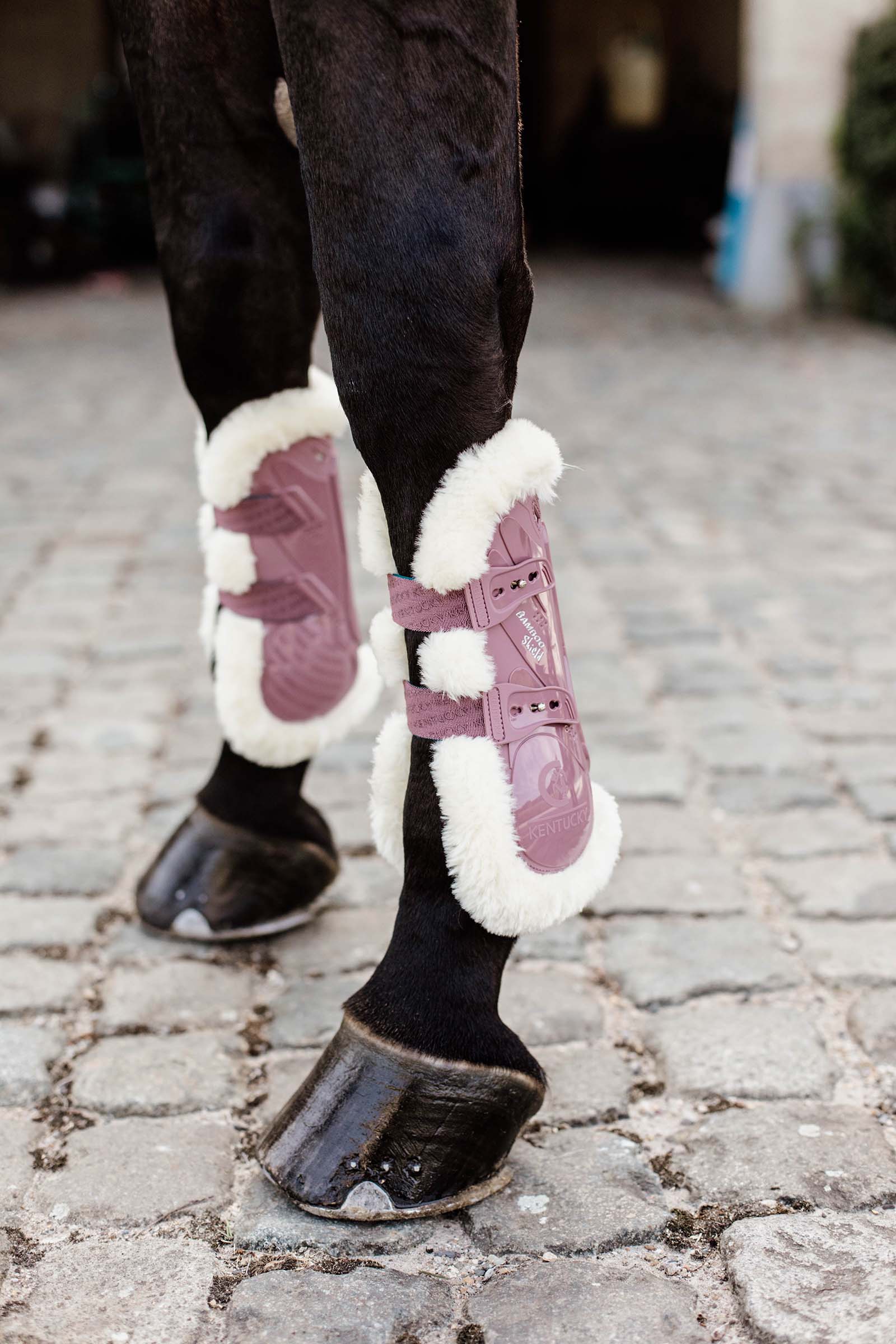 Old Rose Pink Kentucky Horsewear Vegan elastiske senebelegg med bambus og saueskinn