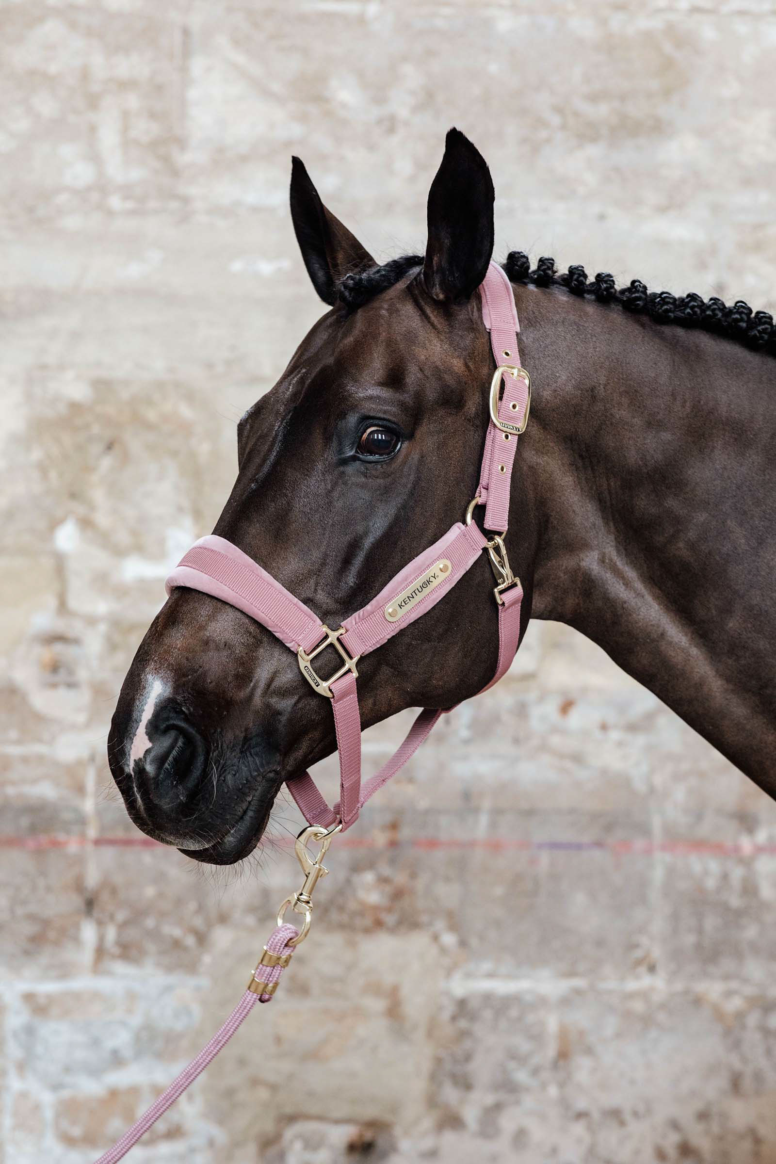 Kentucky Horsewear Velvet grime