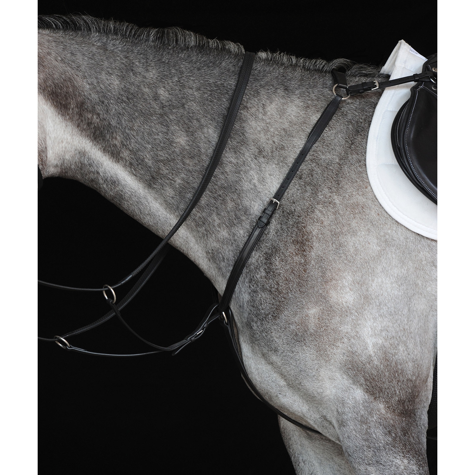 Collegiate Hunter fortøy IV