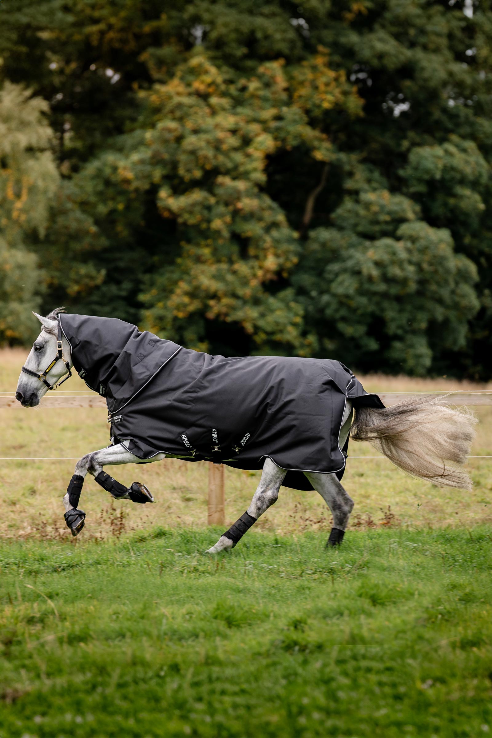 Horseware Amigo Super Bravo Plus utedekken med avtakbar halsdel, 250 g