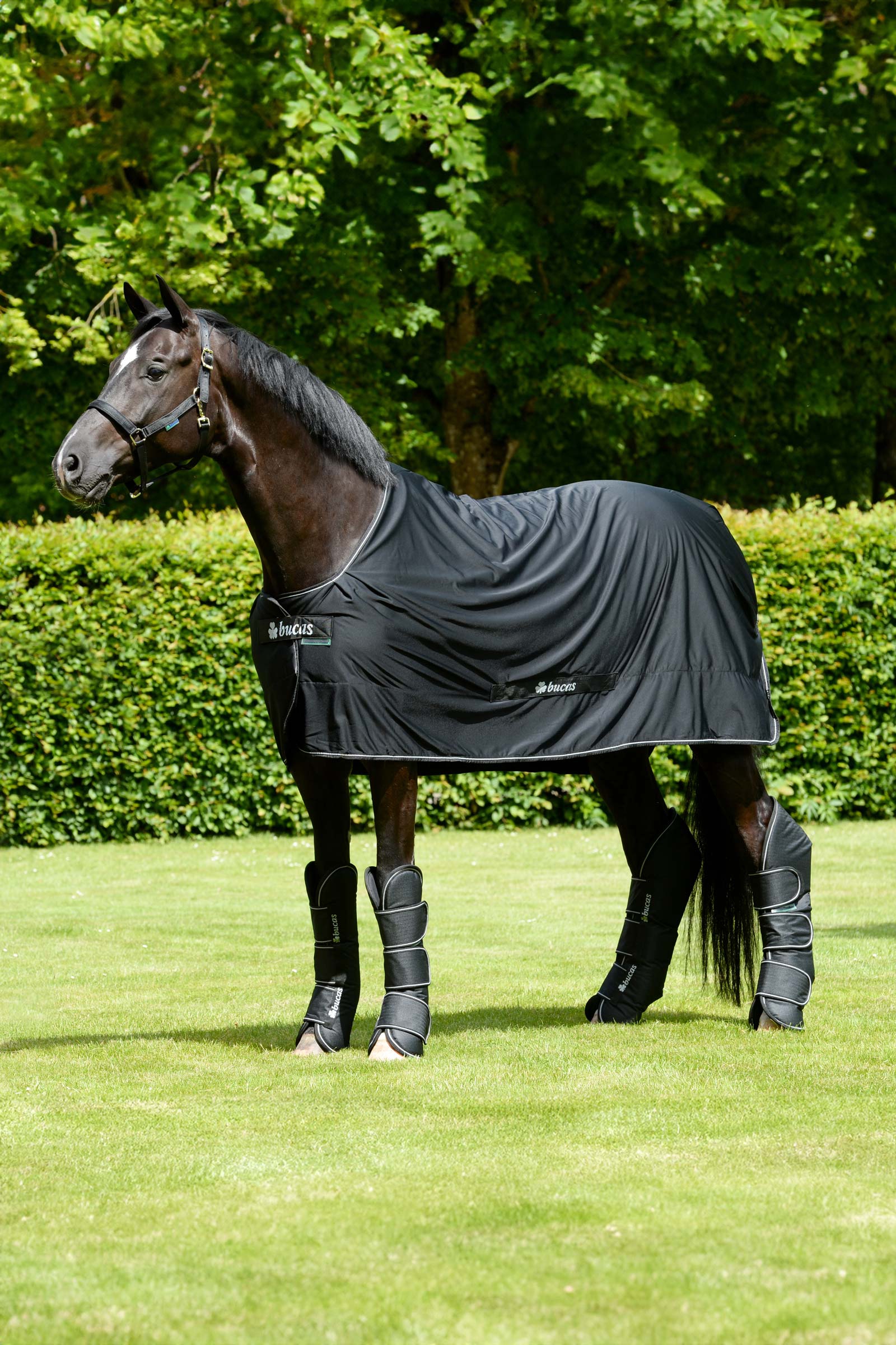 Bucas Freedom transportbelegg