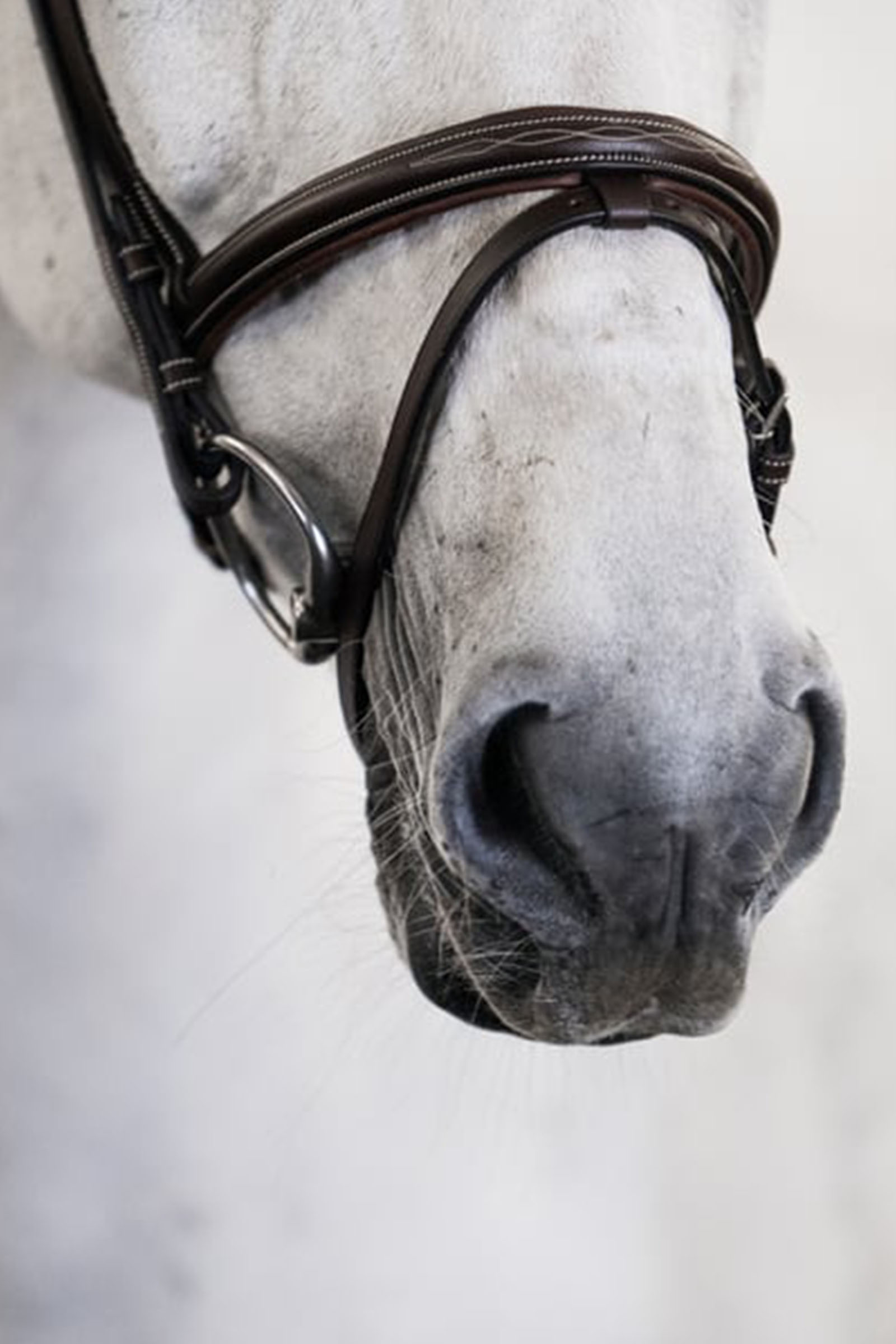 PS of Sweden Stockholm hodelag