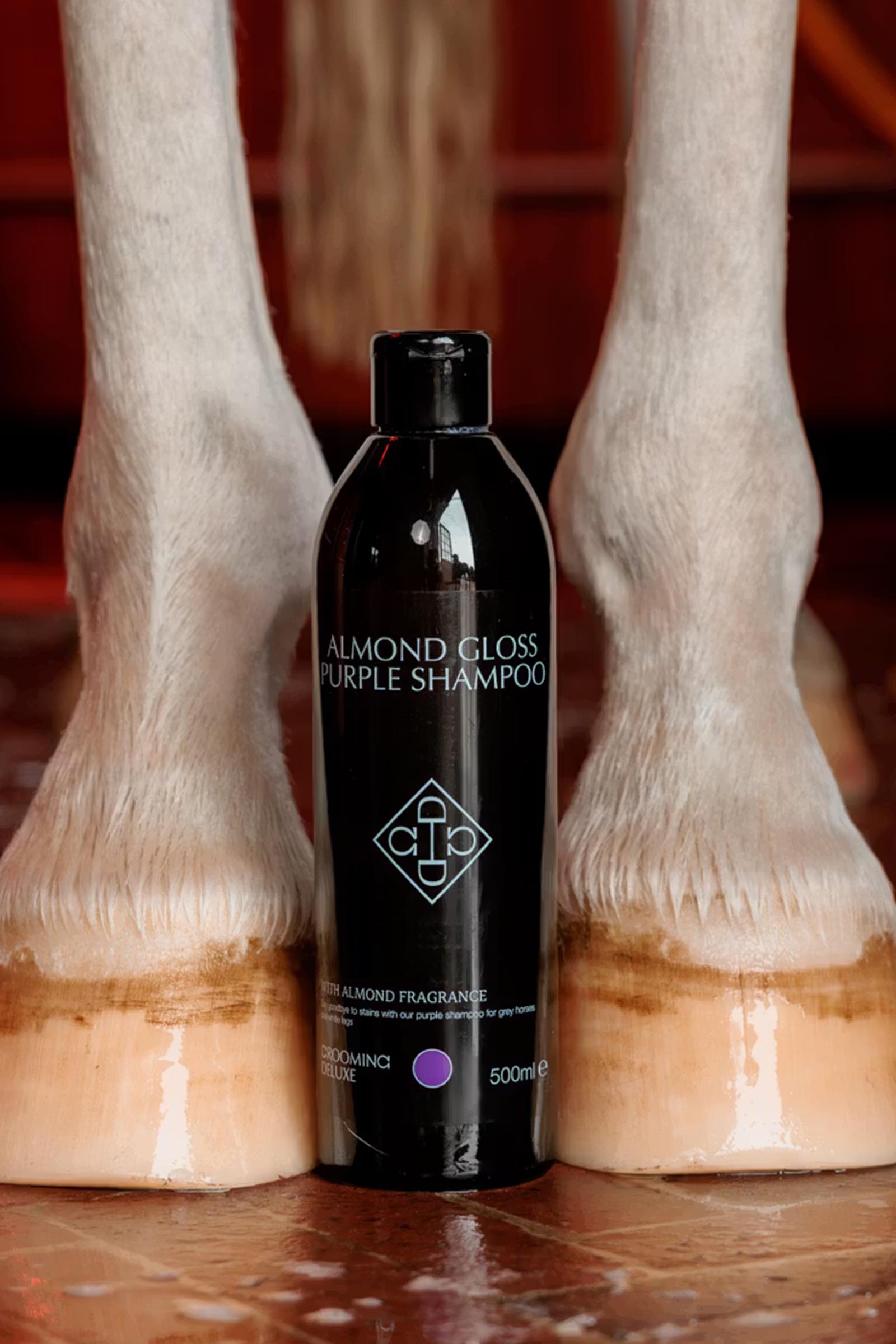 Grooming Deluxe Mandel gloss lilla sjampo, 500 ml