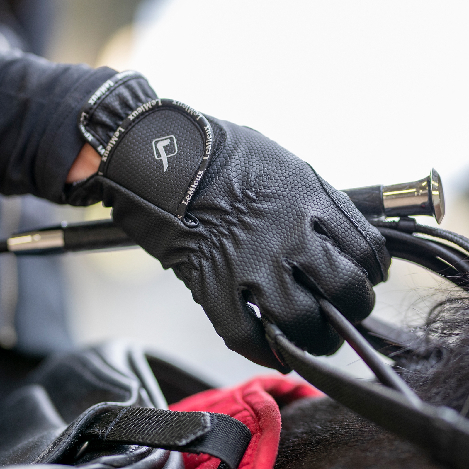 LeMieux ProTouch Classic hansker