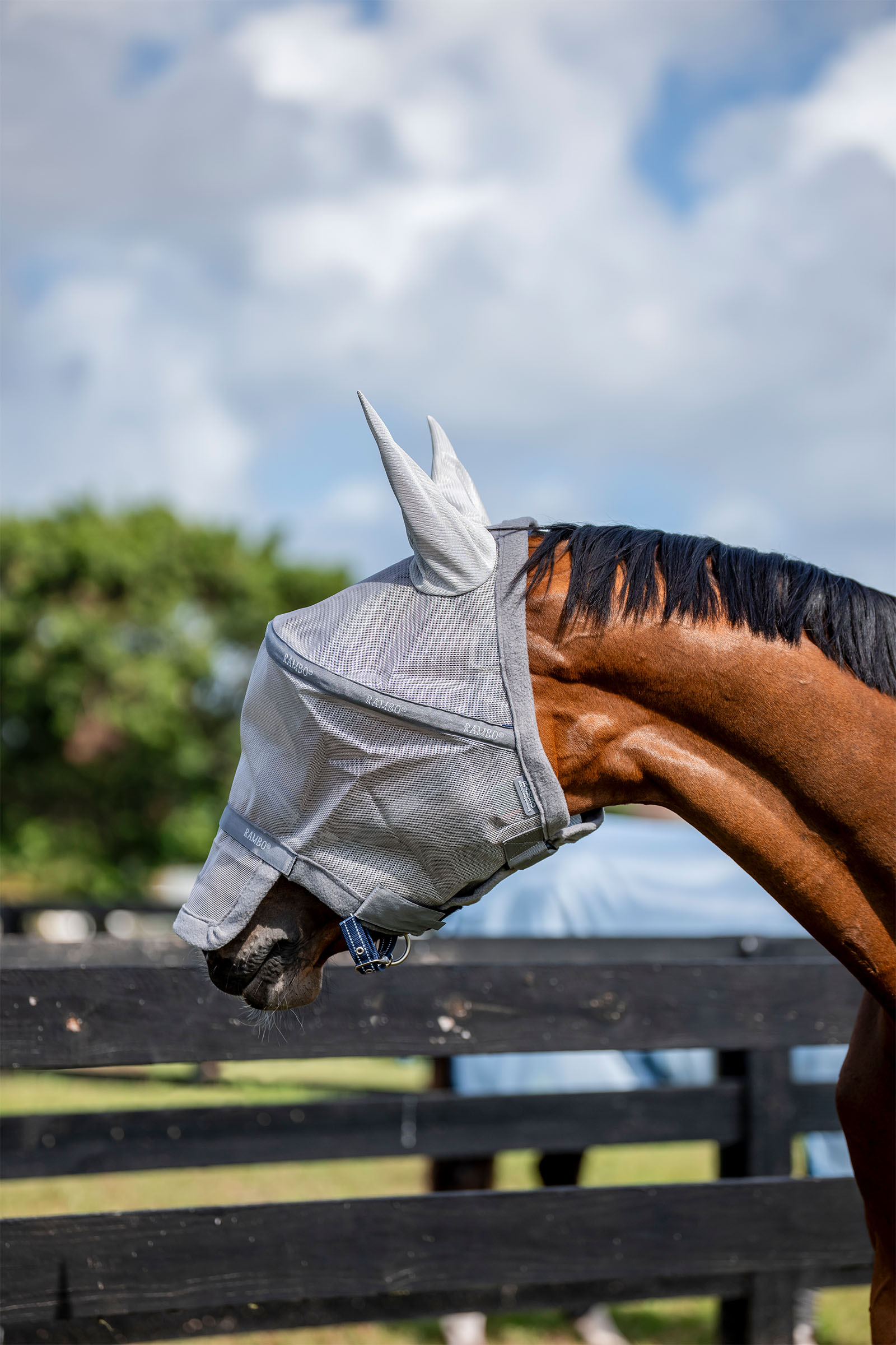 Horseware Rambo Plus fluemaske