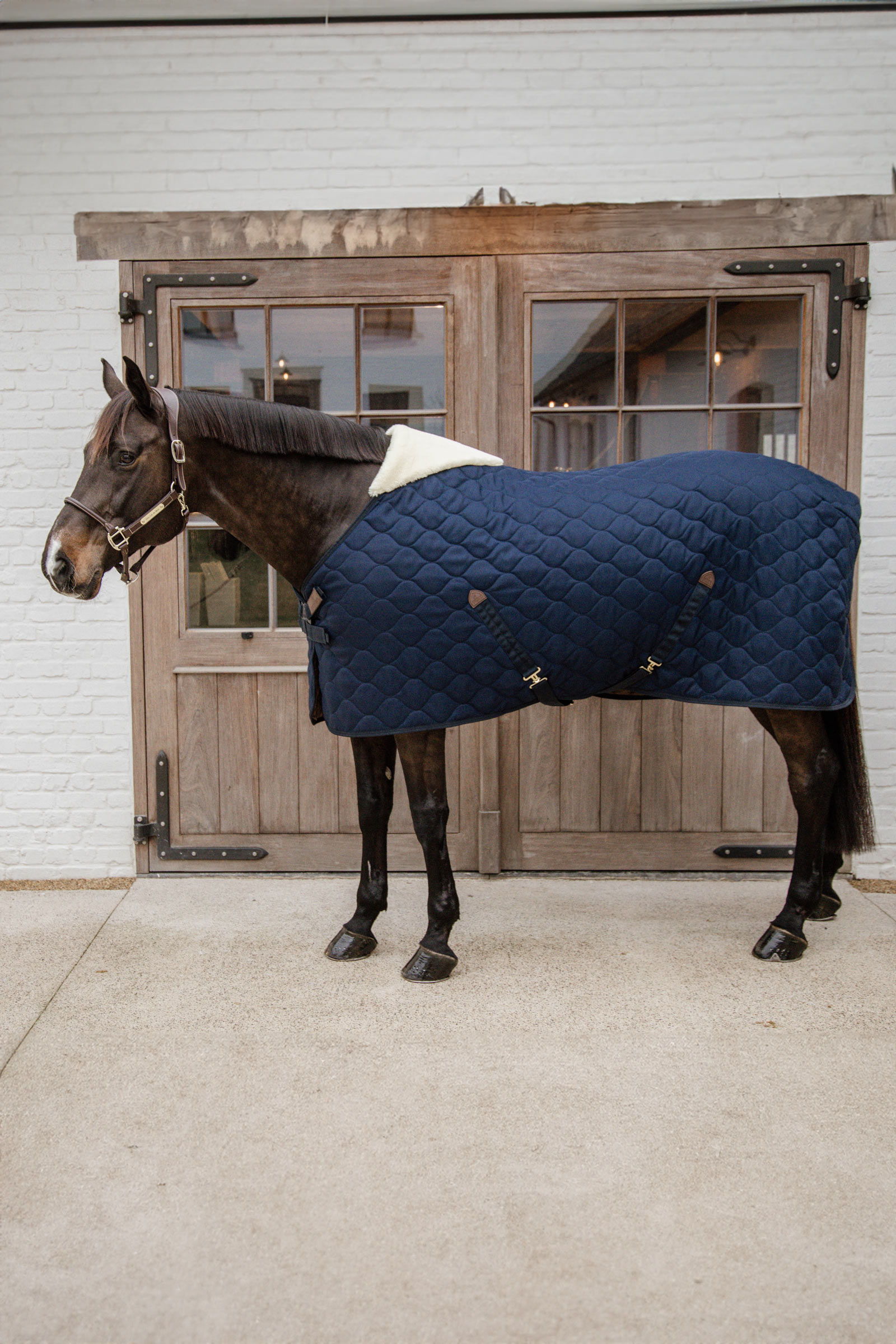 Kentucky Horsewear Comfort Stallteppe 100g