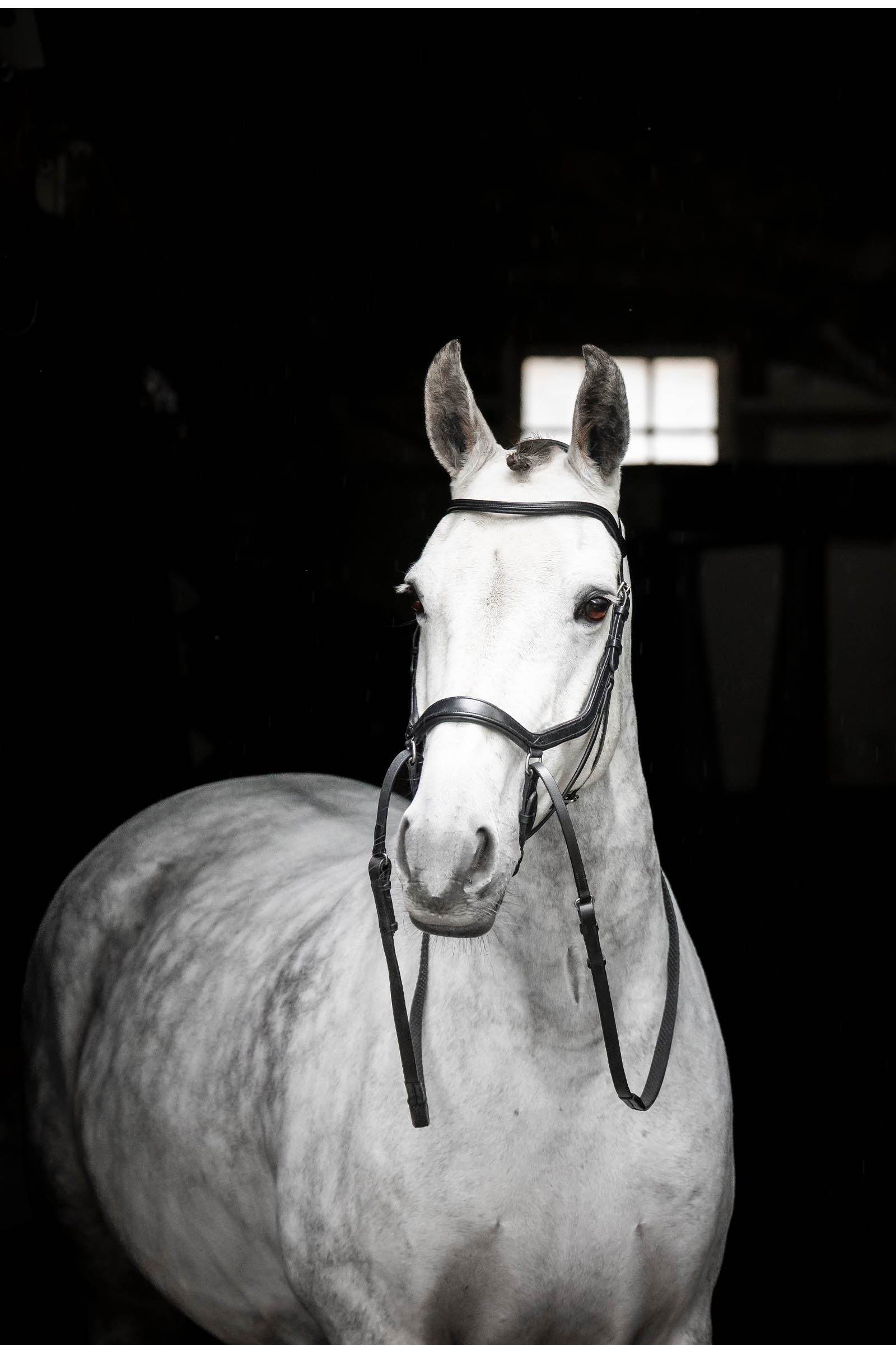 Horseware Micklem bittløst hodelag