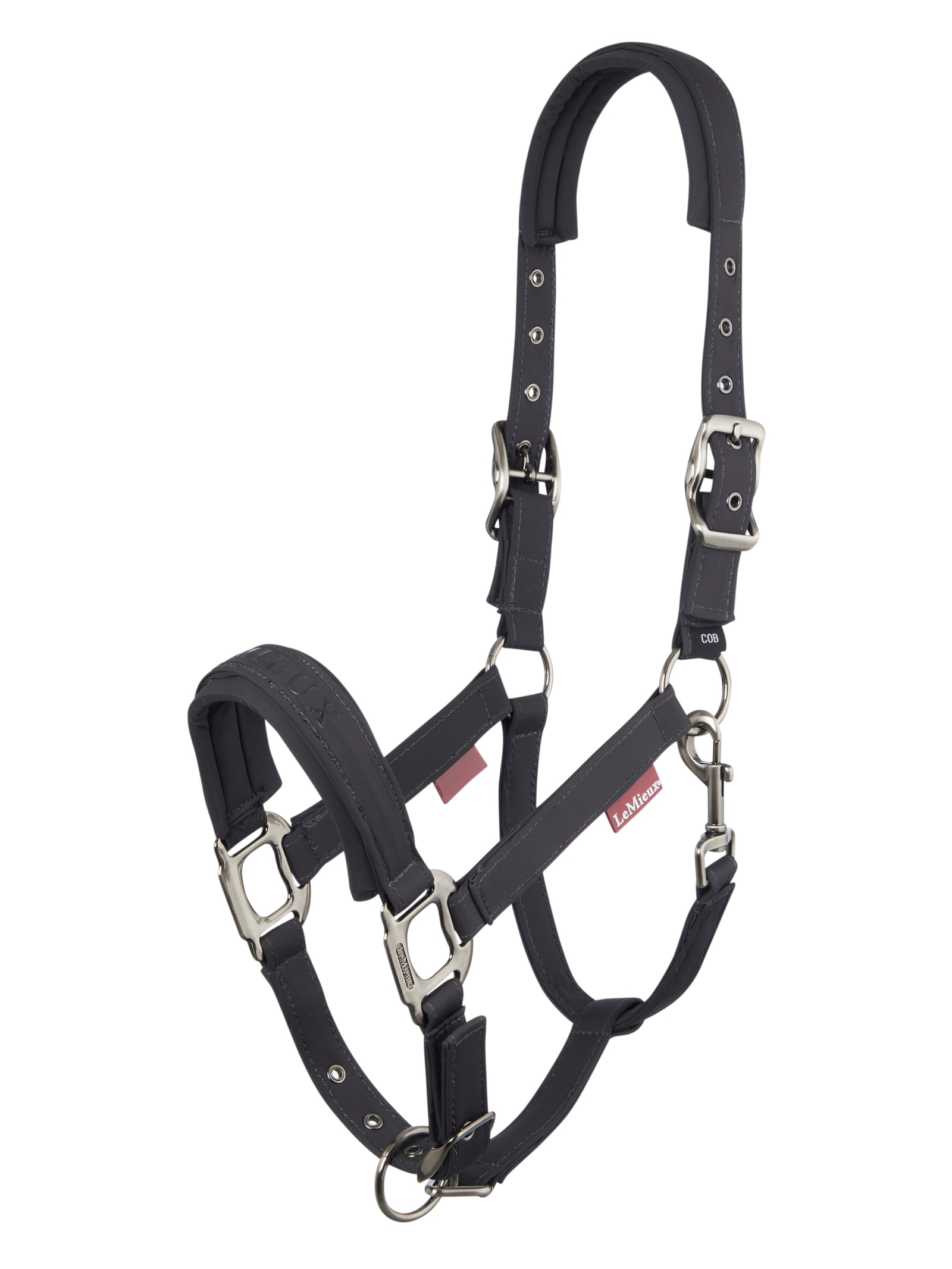 Cinder LeMieux Soft Shell Headcollar