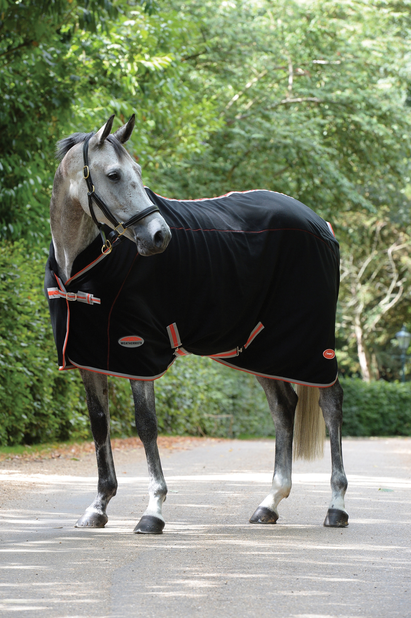 Weatherbeeta Therapy-Tec, standard hals