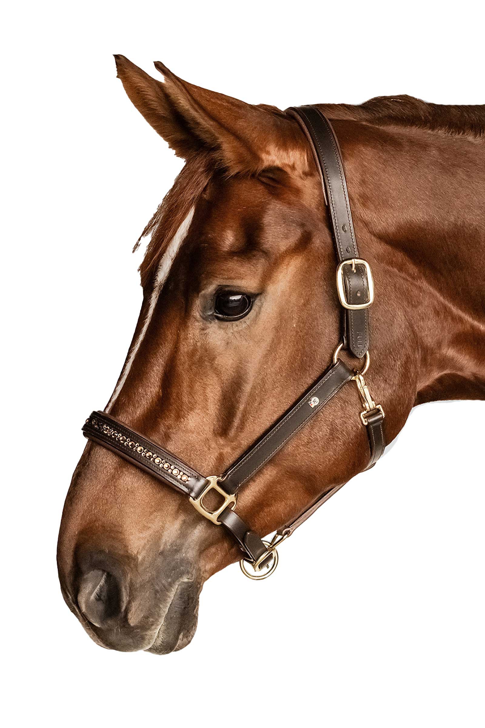 Waldhausen X-Line Crystal L&aelig;rgrime