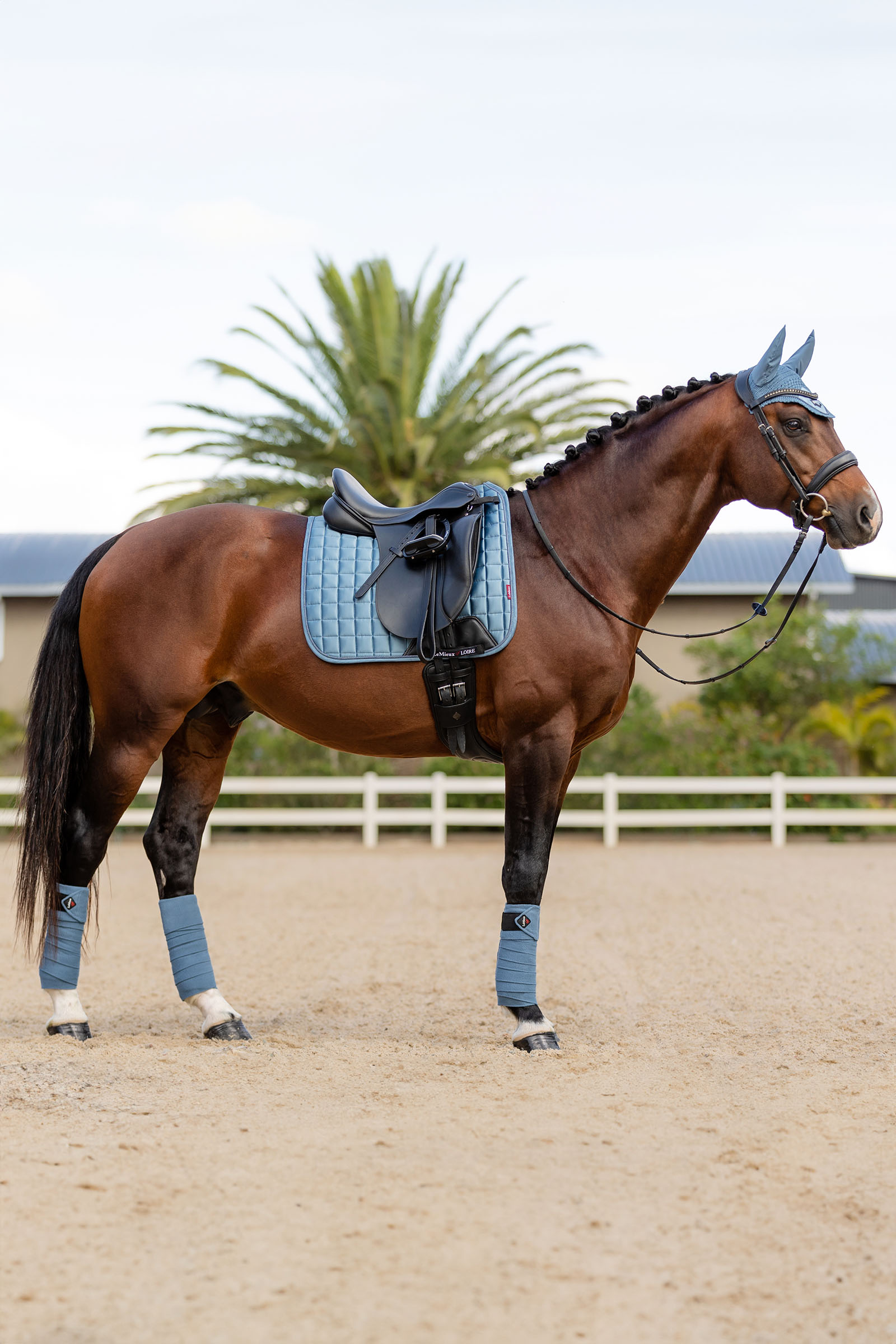 LeMieux Loire Memory Dressursjabrak