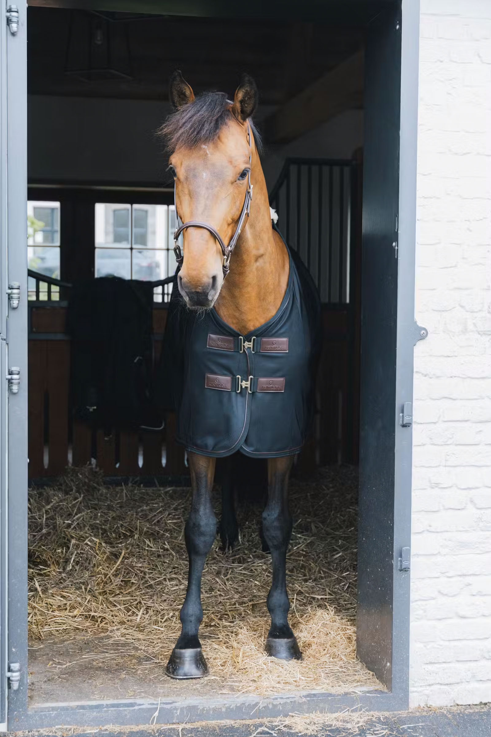 Kentucky Horsewear flueteppe i mesh