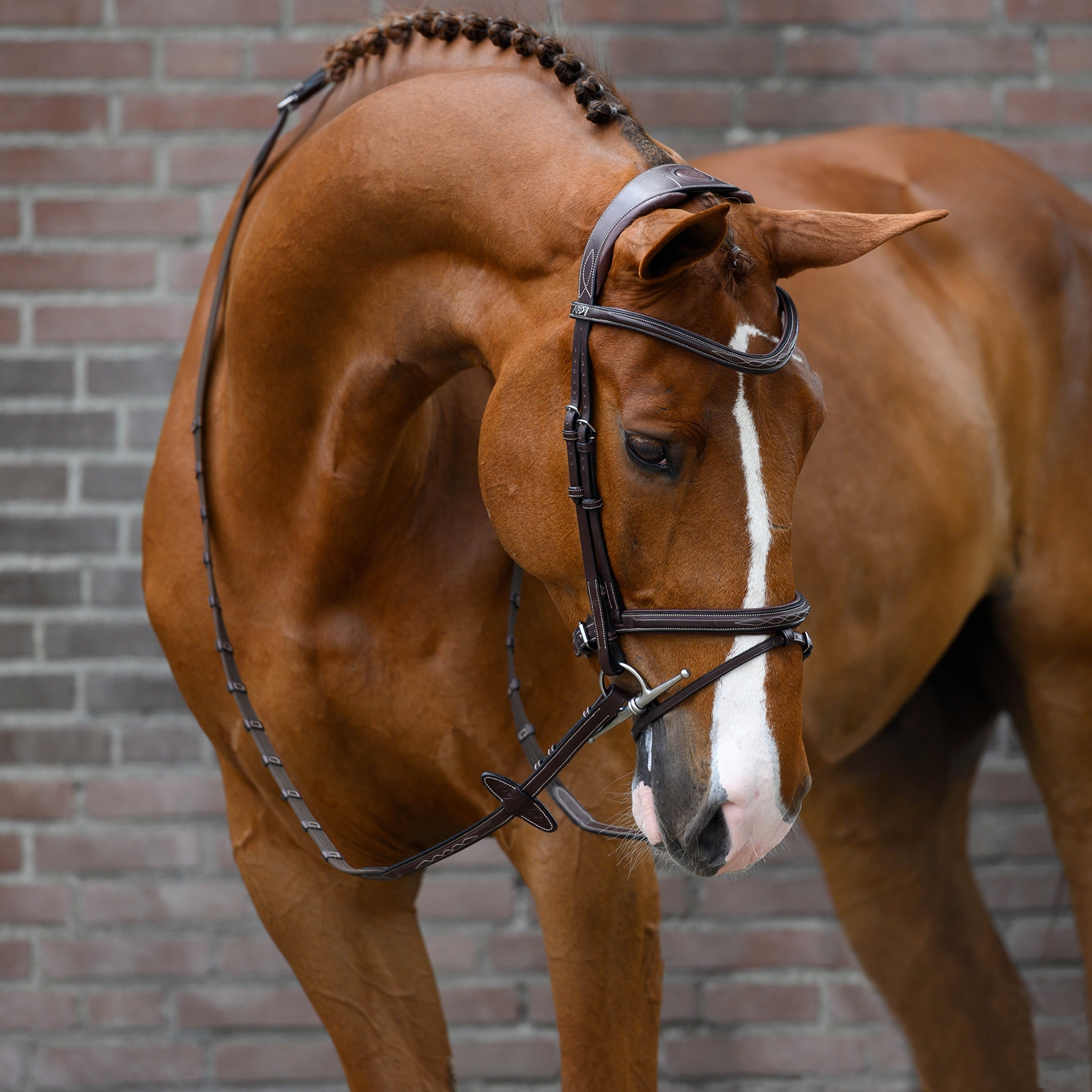 Black PS of Sweden Stockholm hodelag