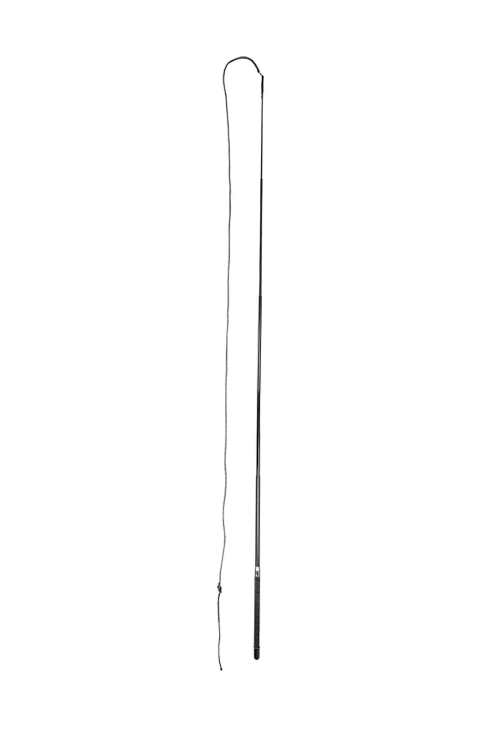 Longeringpisk Superlight fra Waldhausen