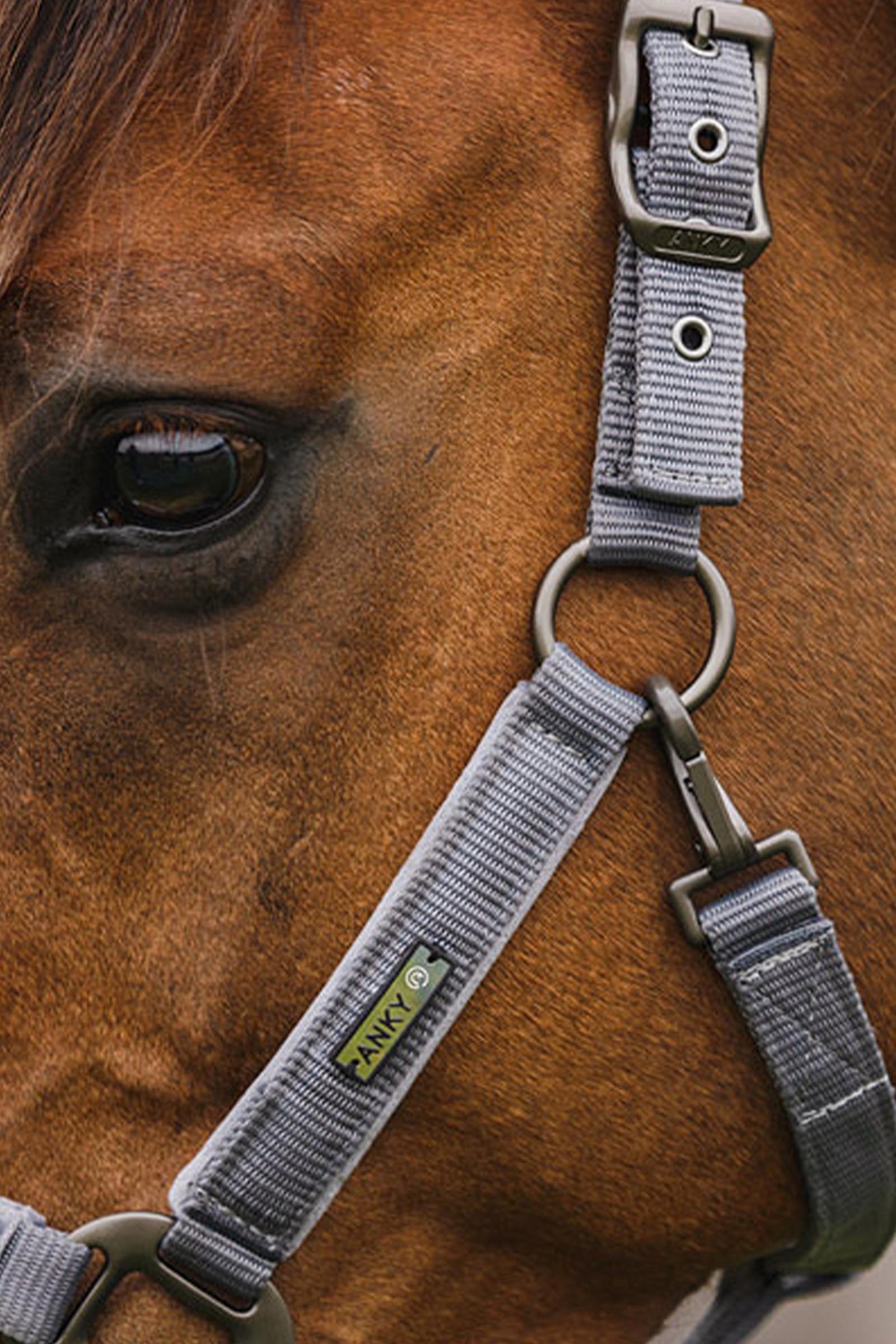 ANKY Stones Grime og Leietau Sett