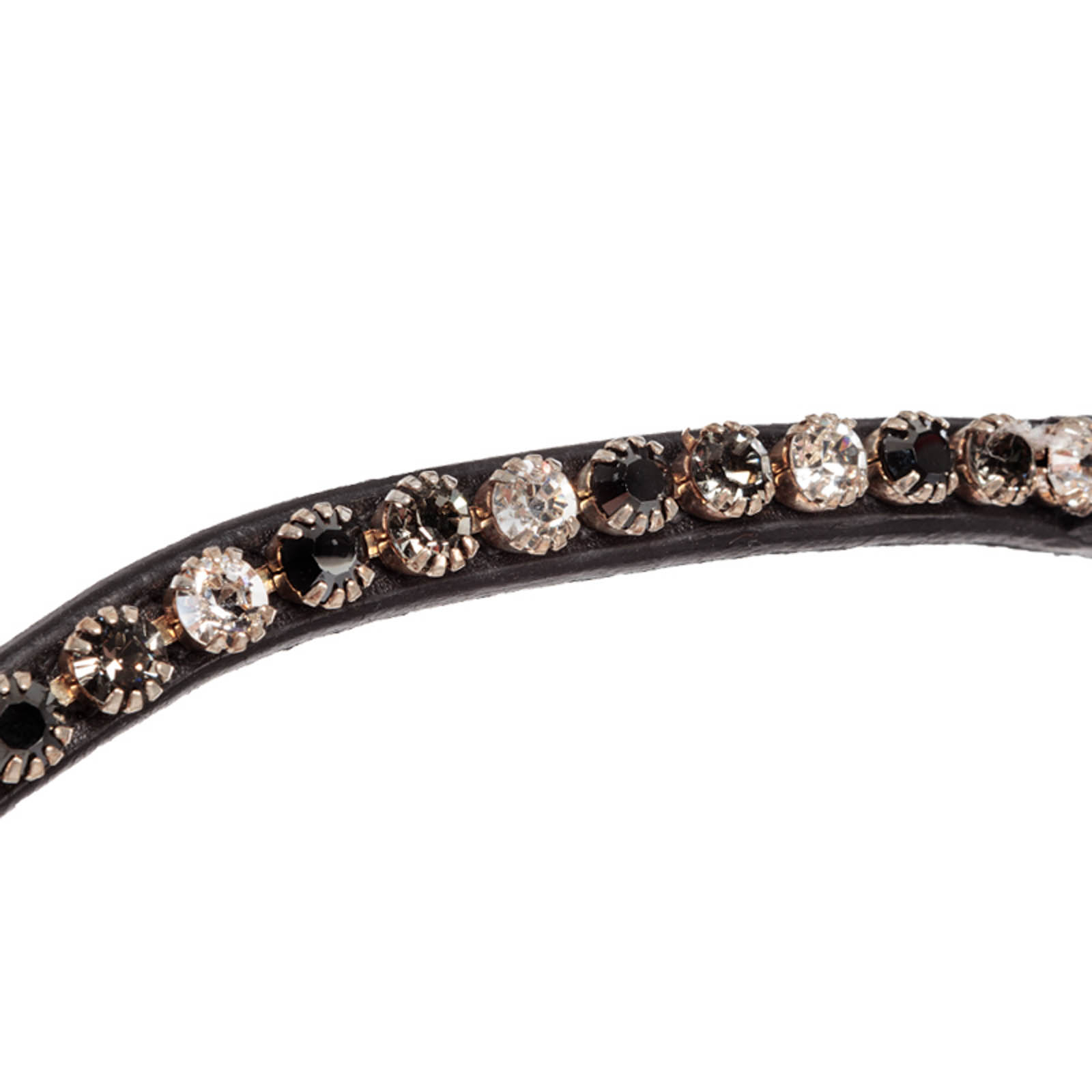 Kavalkade Reyna KavalSH4 hodelag