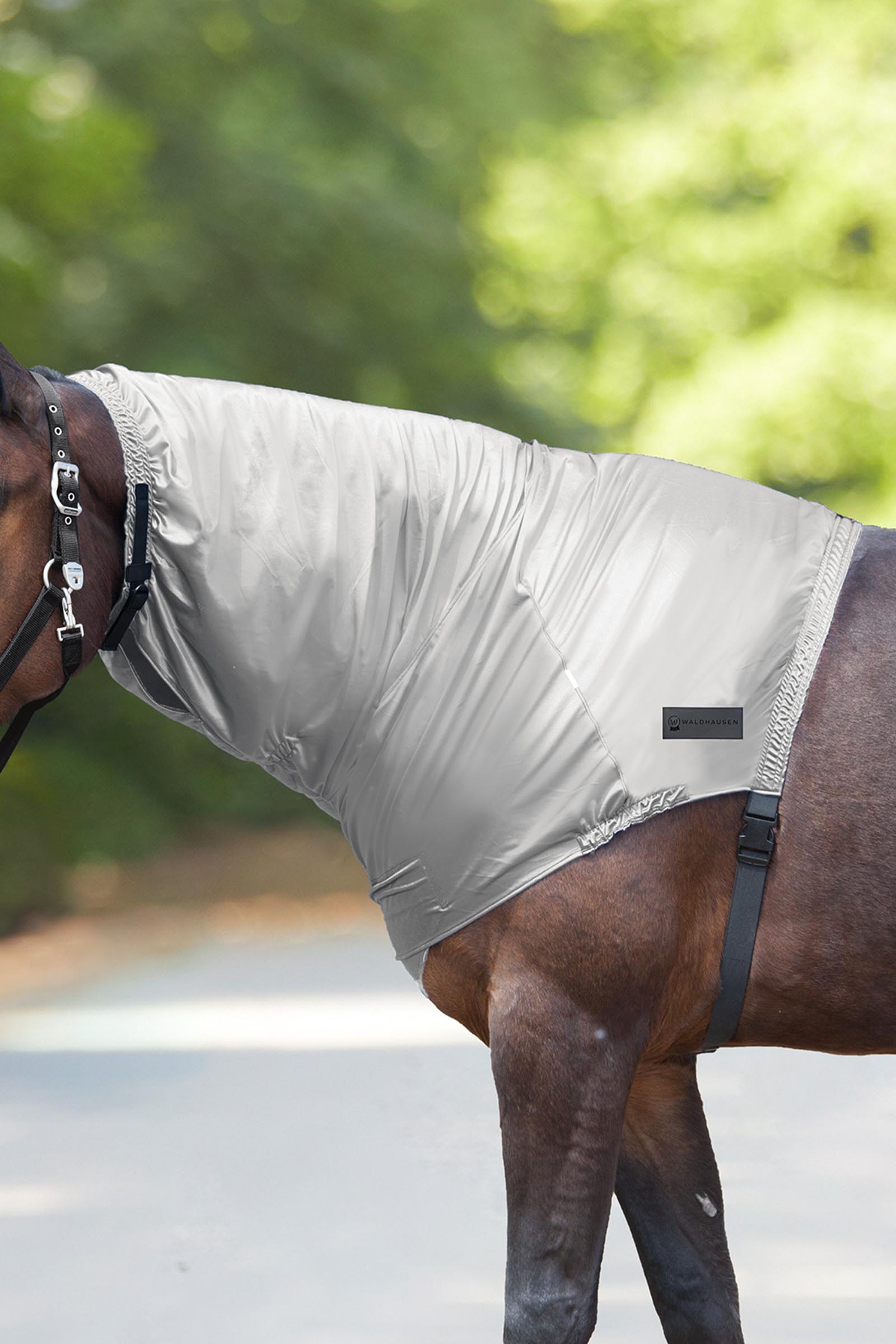 Silver Grey Waldhausen eksem halsdel