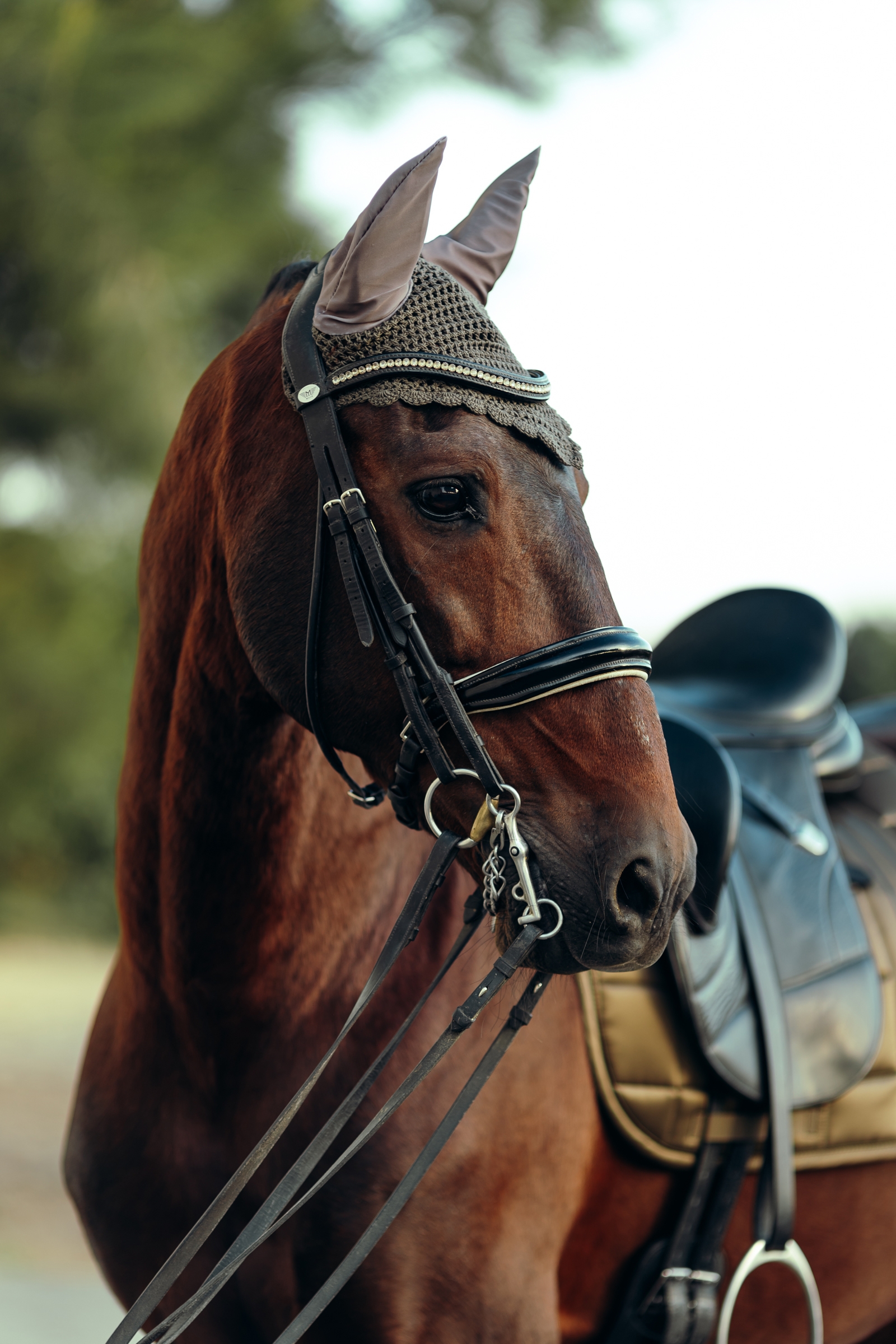 B Vertigo Drew ørehette