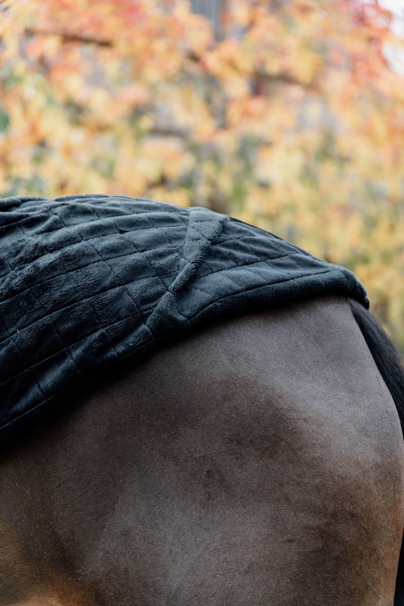 Kentucky Horsewear stable rug 0g