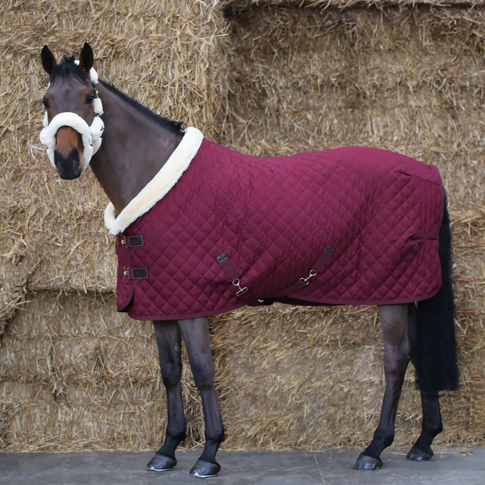 Dark Red Kentucky Horsewear showdekken, 160 gram