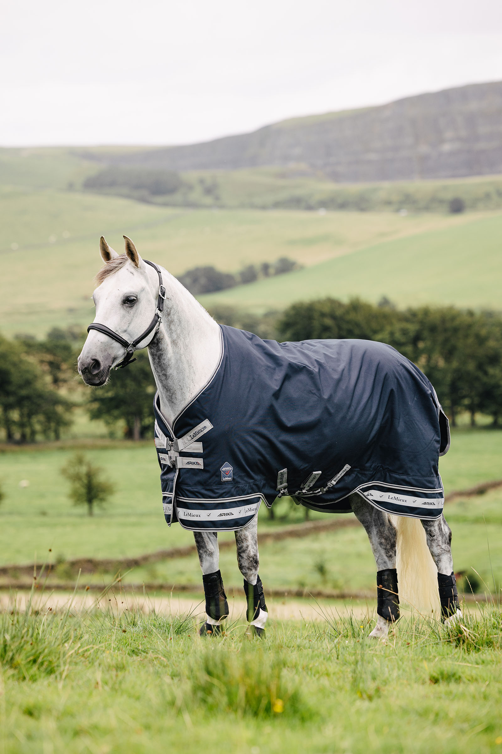 LeMieux Arika Storm-Tek dekken 50g
