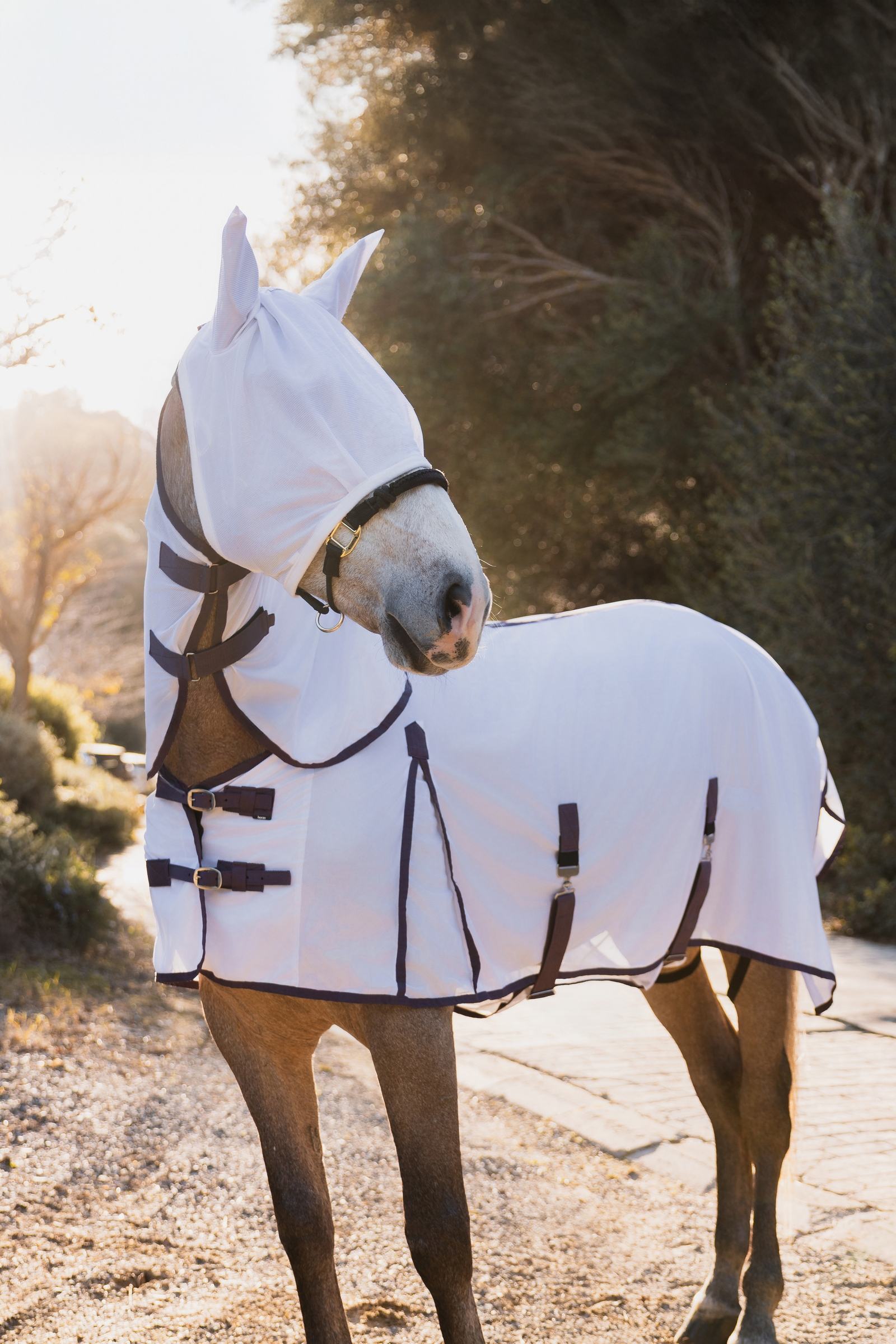 Horze La Paz insektssett med dekken, avtakbar hals og maske