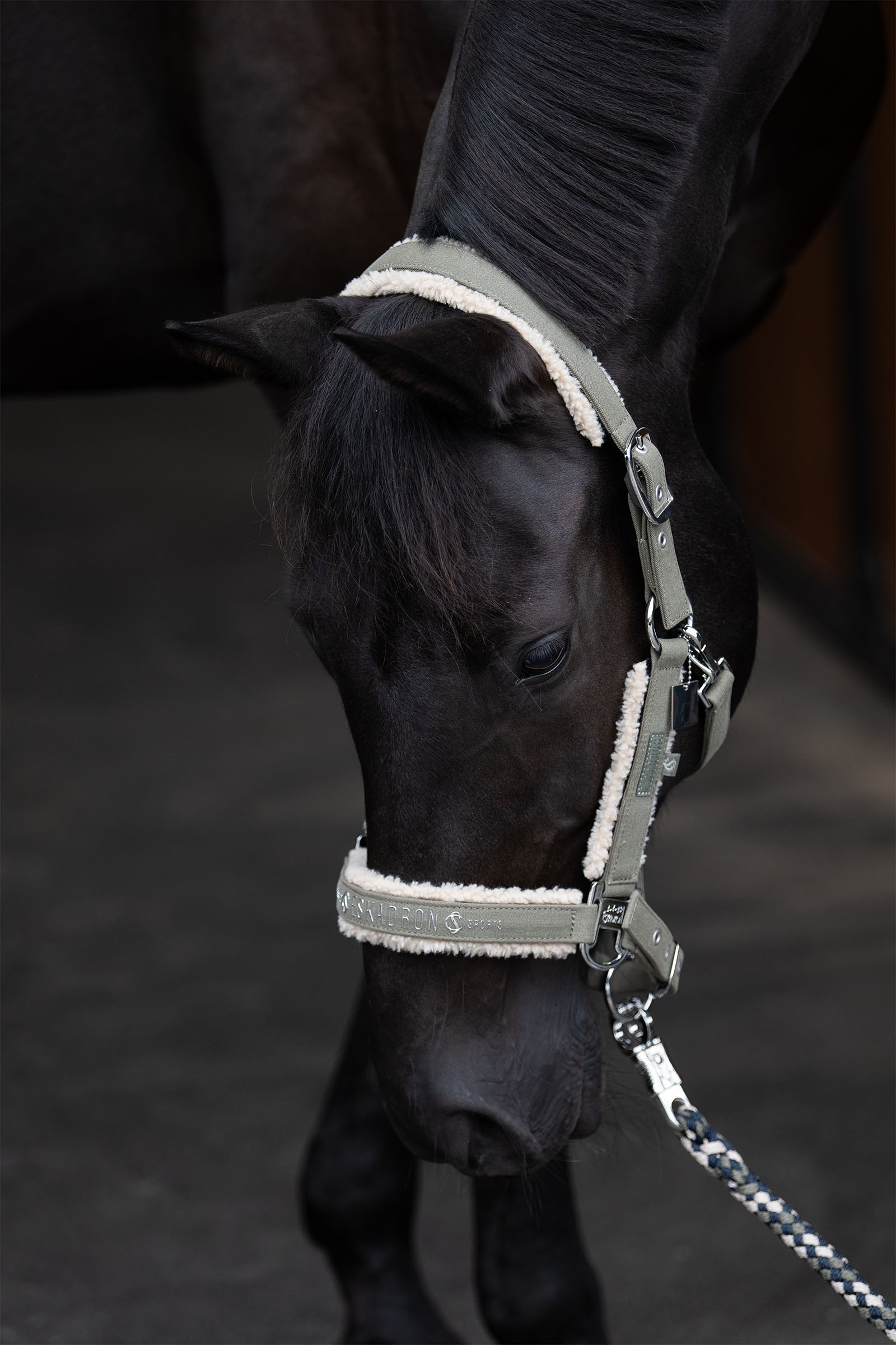 Eskadron Classic Sports SS25 Denim grime med dobbelt spenne og teddyfleece