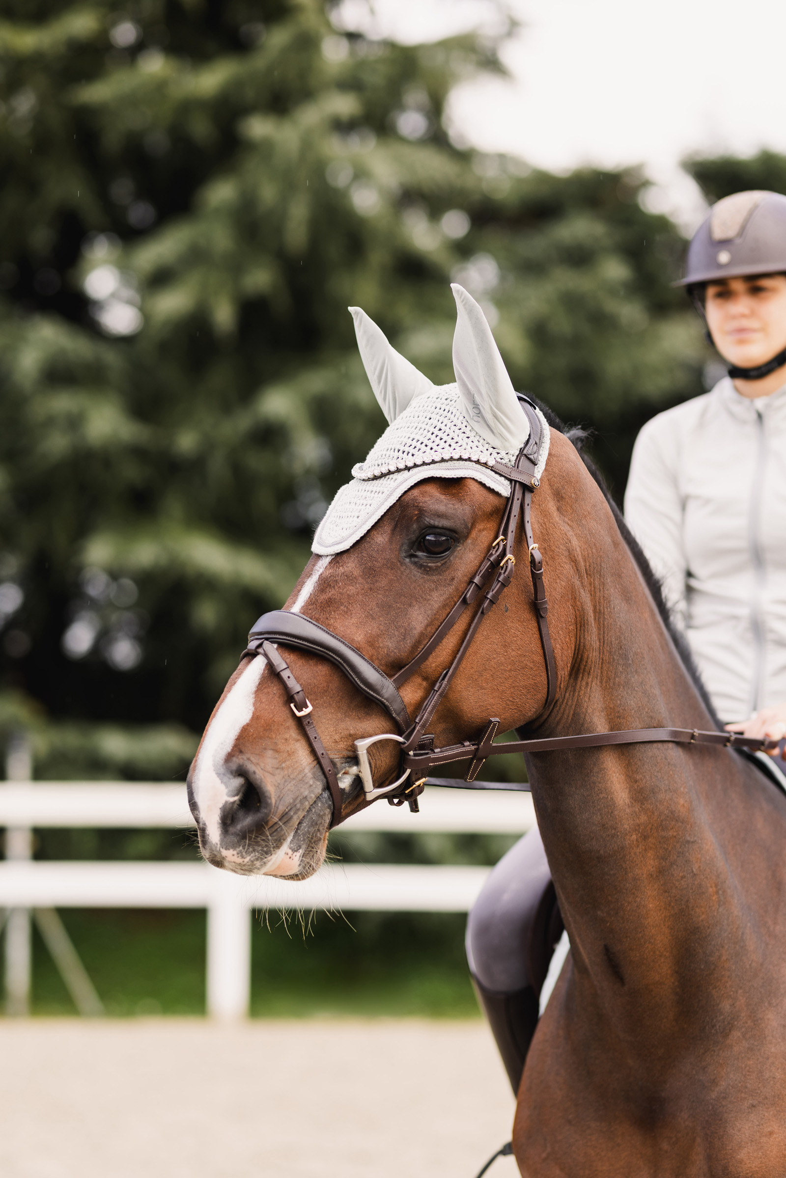 Horze Rose Tonique ørehette