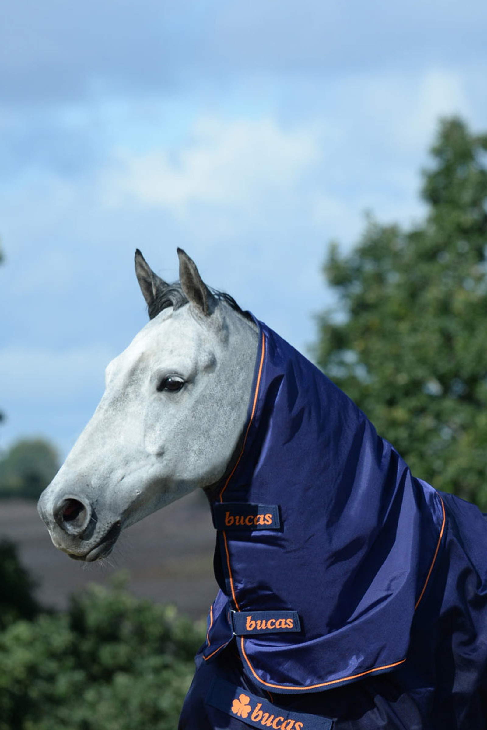 Bucas Therapy halsstykke