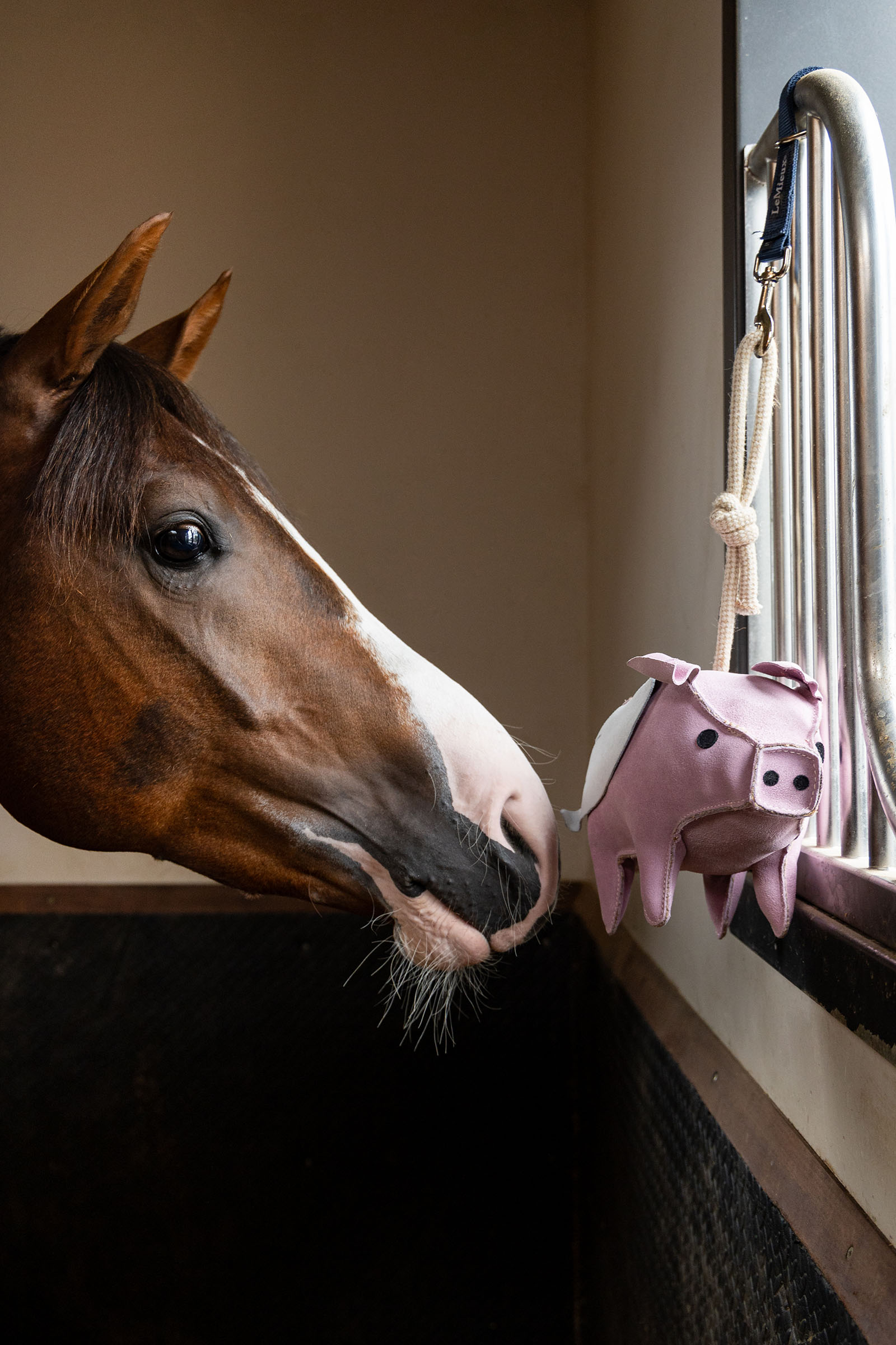 LeMieux hesteleke flygende gris