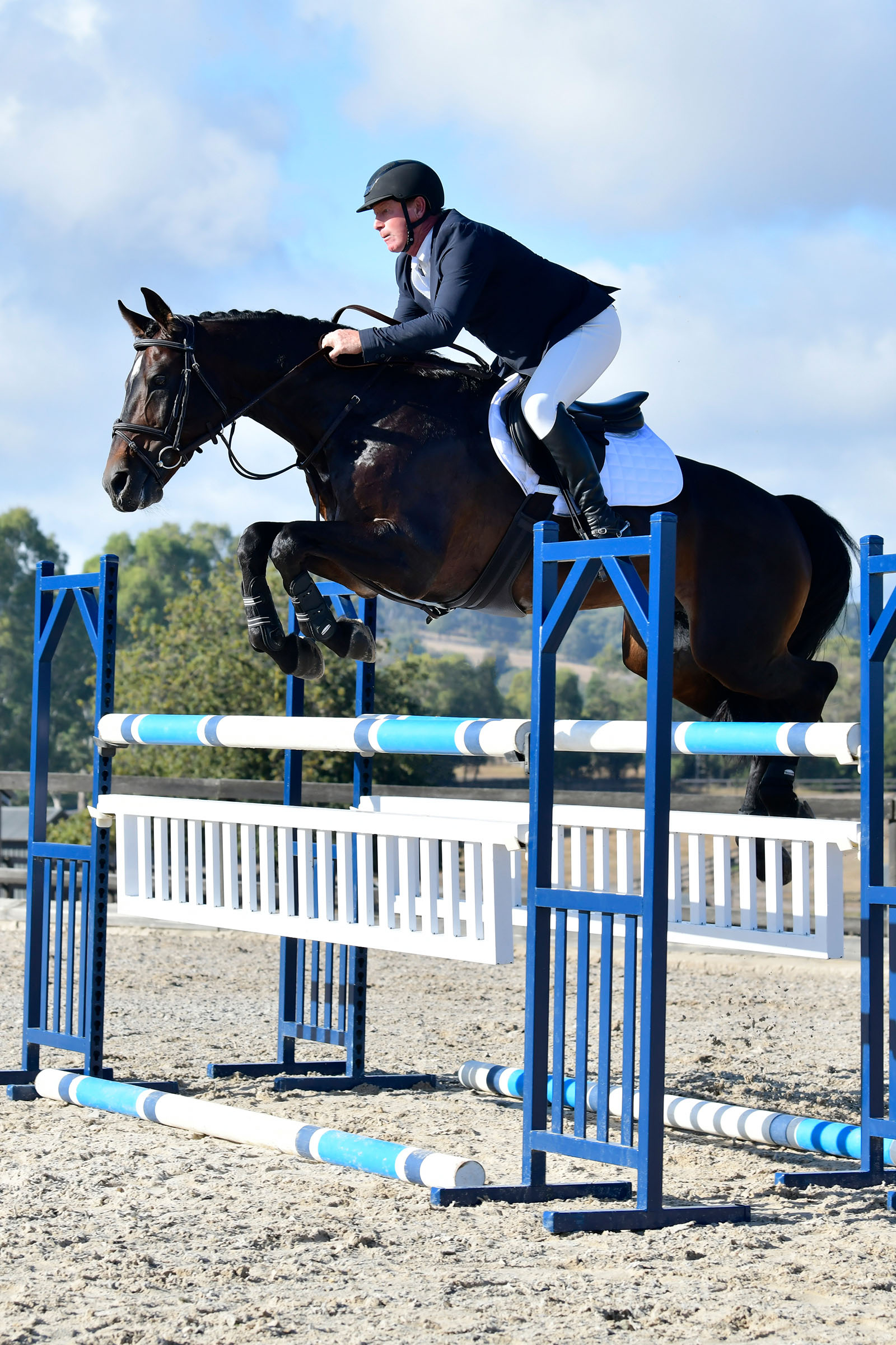 Collegiate Comfitec Opulux Fancy Stitch polstret hannoveransk hodelag