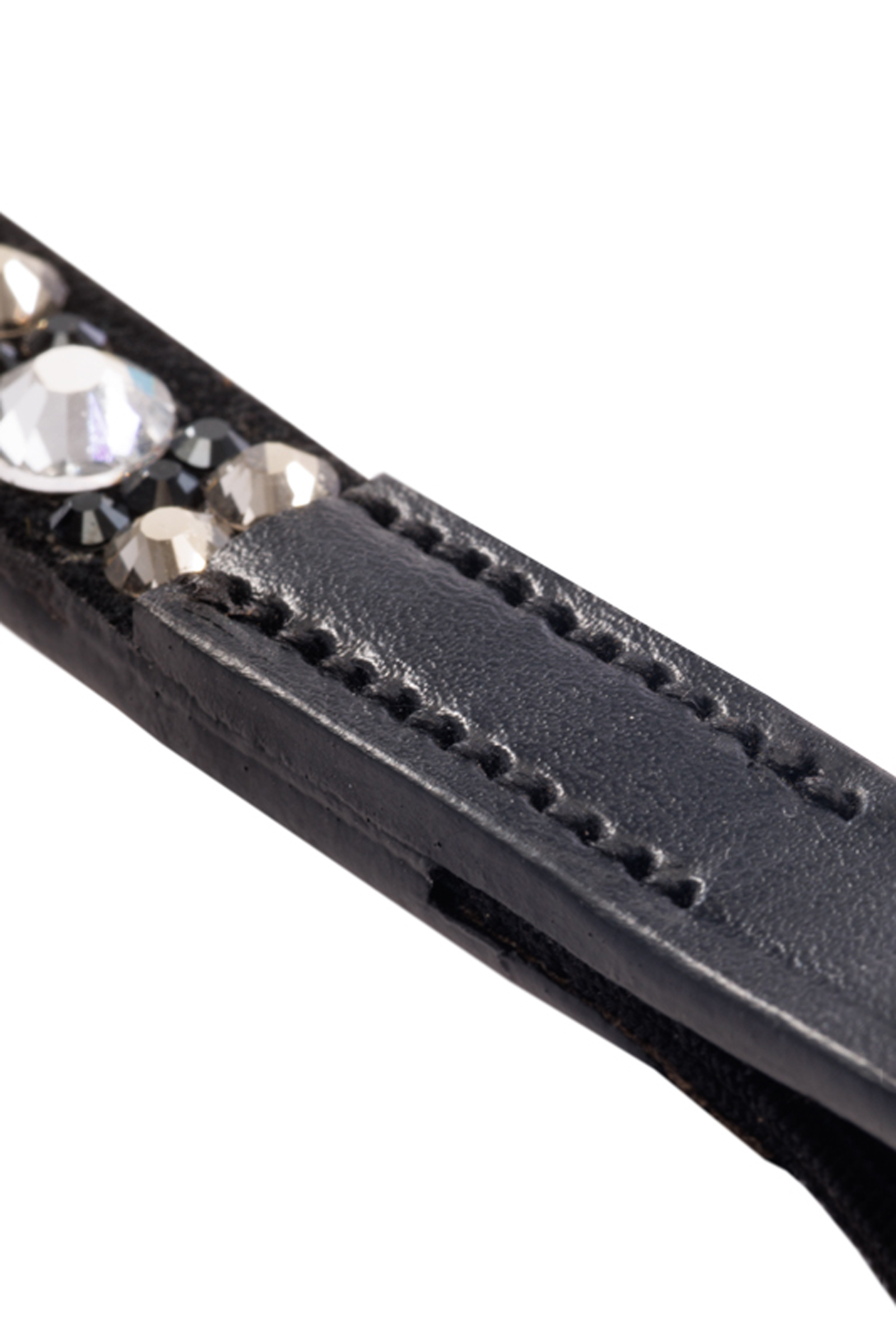 Kavalkade Blaze Pannereim