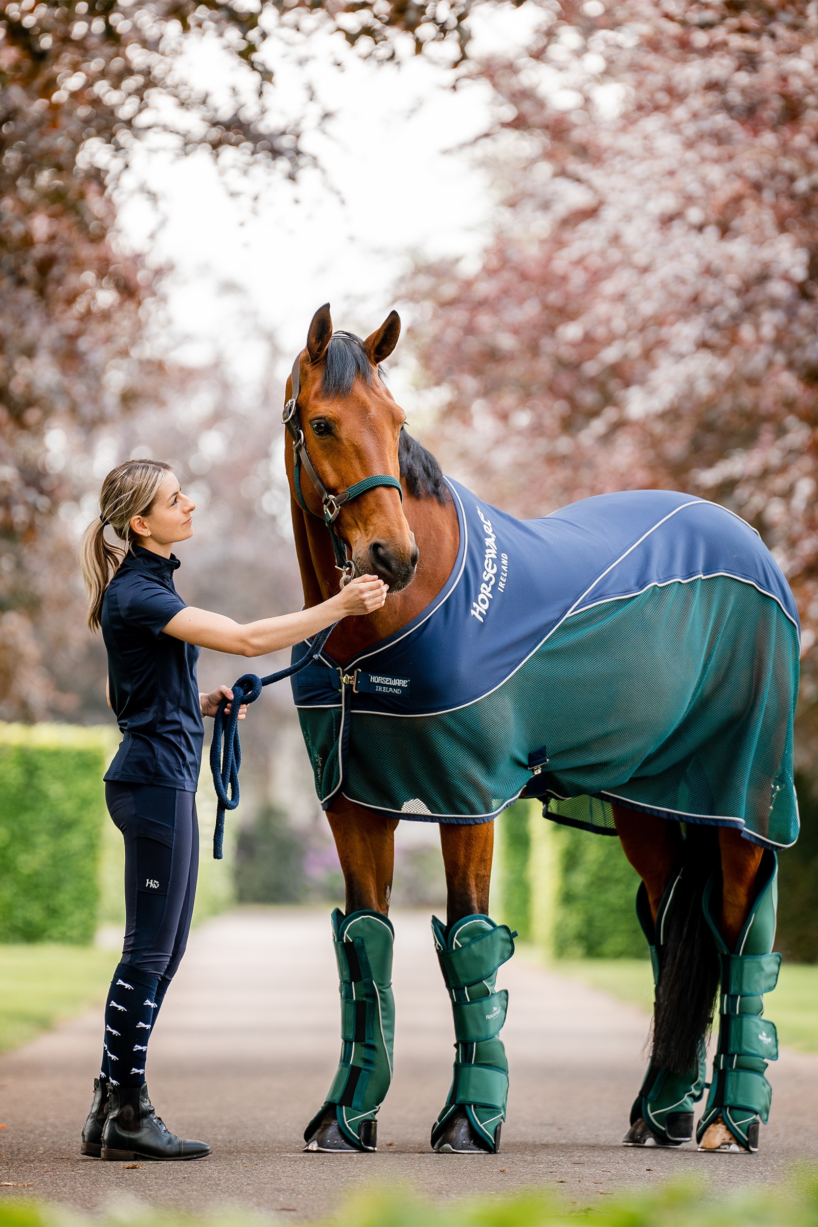 Horseware Signature Transport Beinskyttere