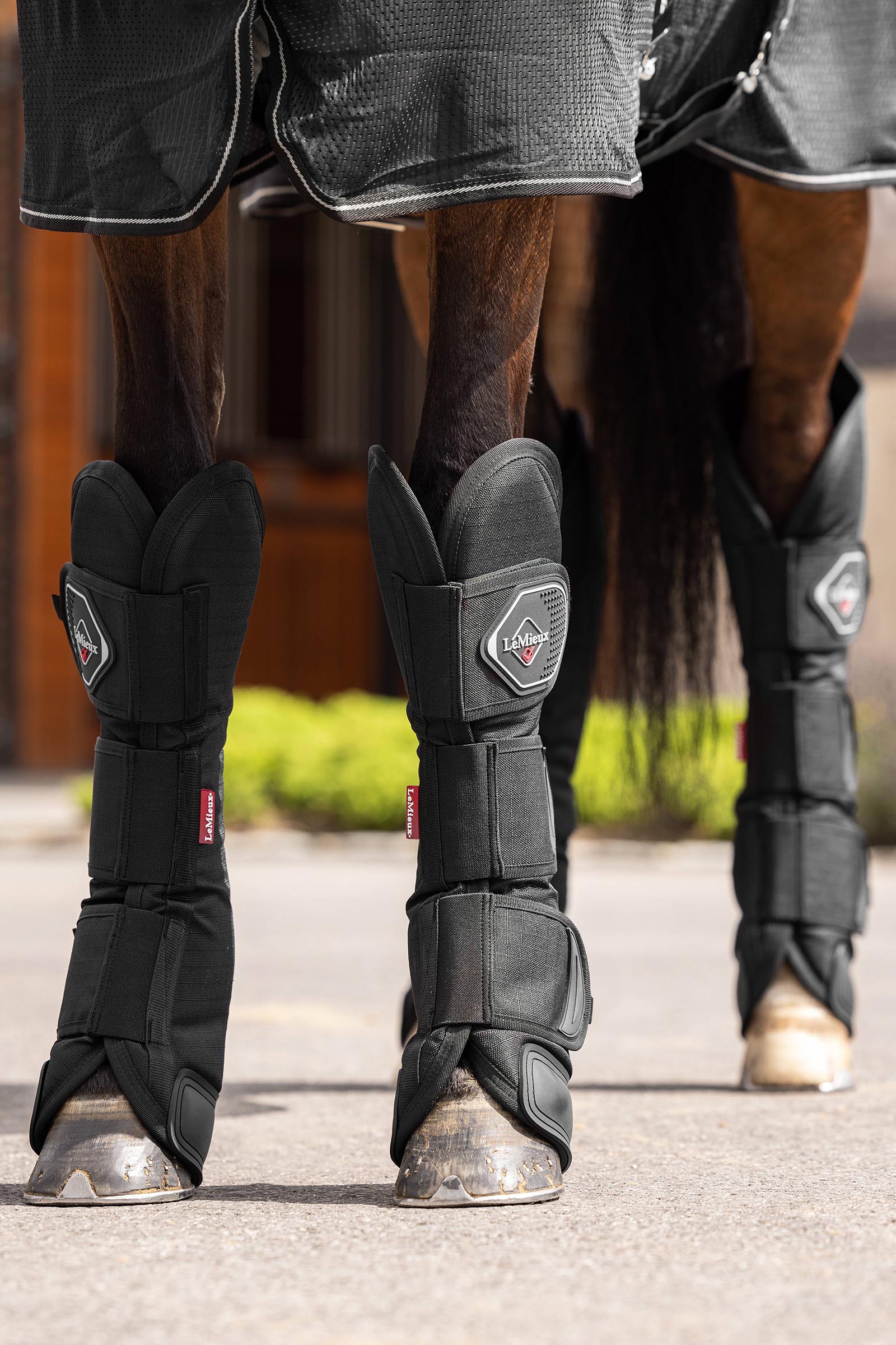 LeMieux transportbelegg