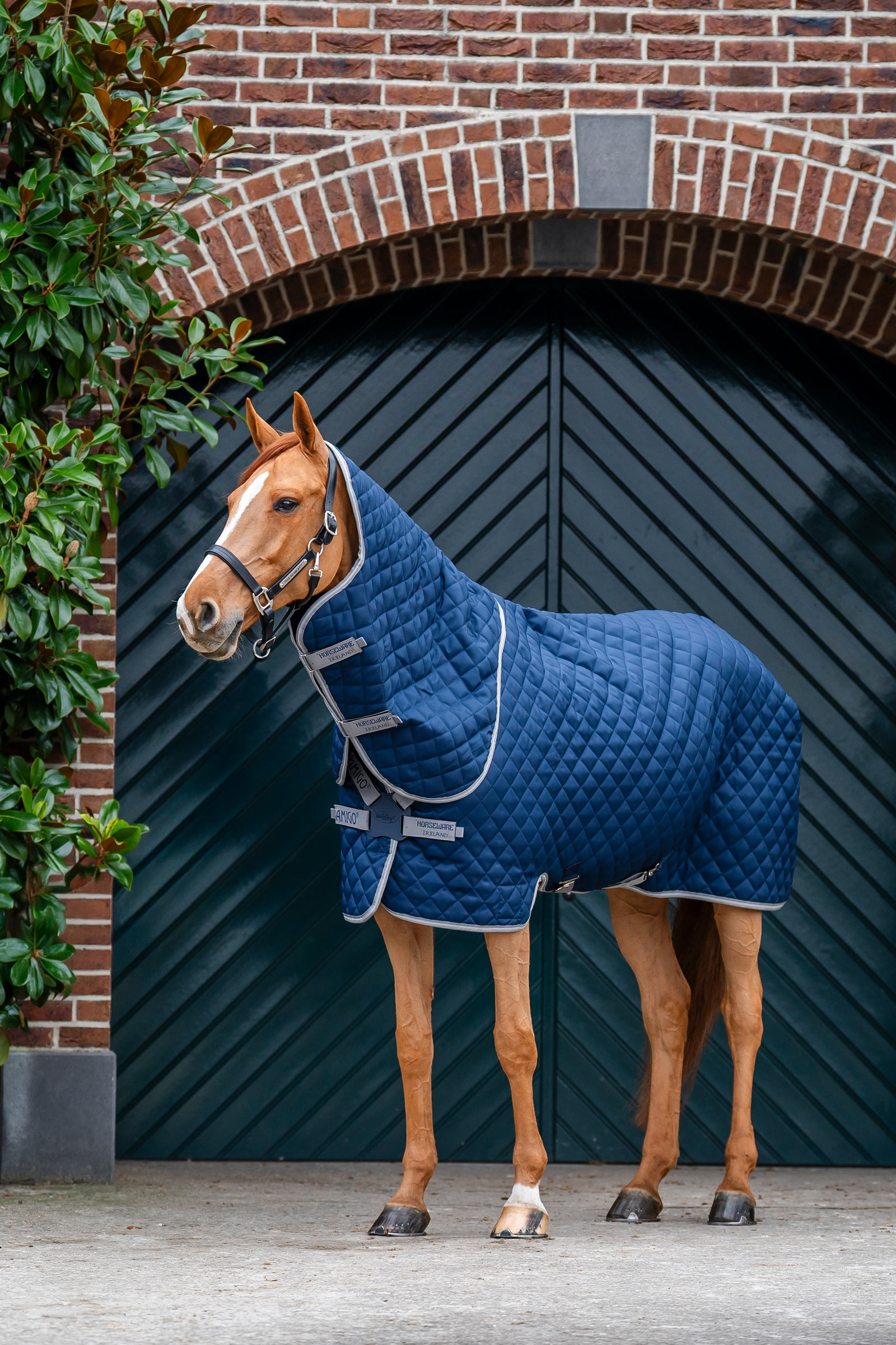 Horseware Amigo vattert stalldekken Plus, 200 g