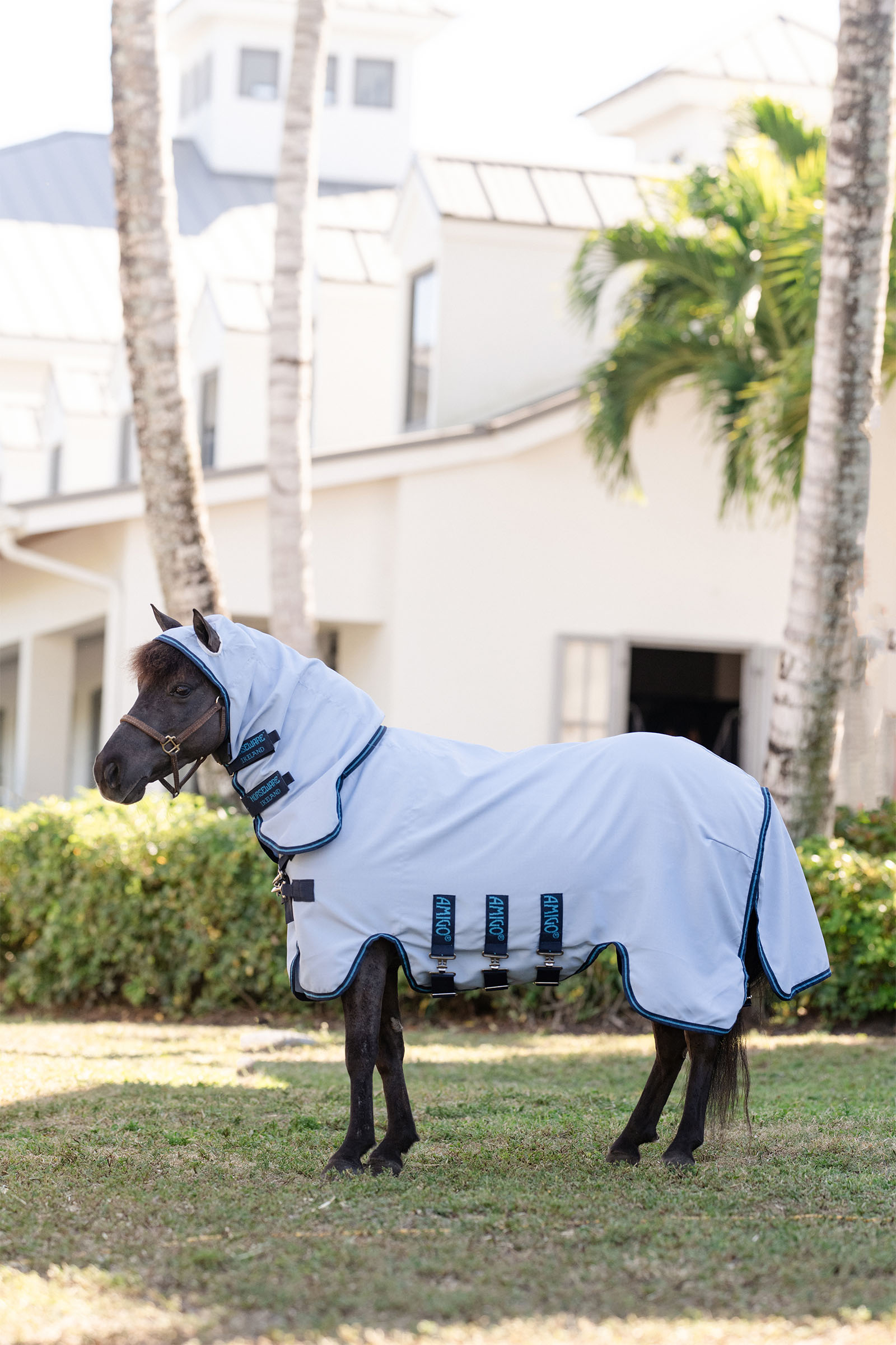 Horseware Amigo Ripstop Hoody Petite, fluedekken