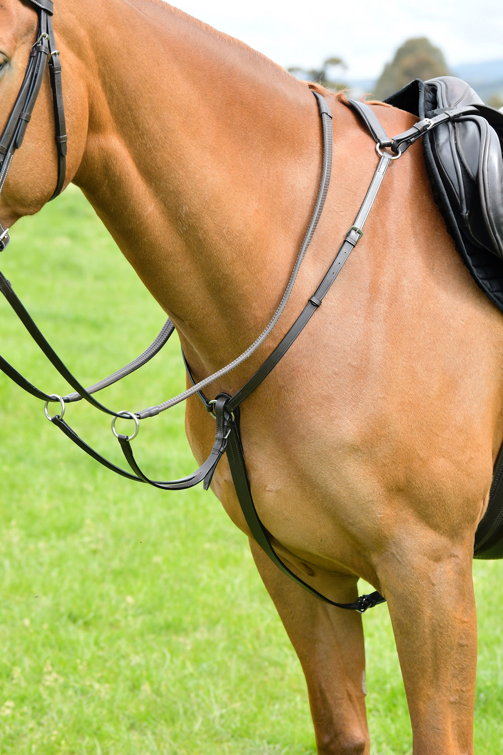 Brown Kincade Classic 3-punkts brystplate med l&oslash;pende martingal