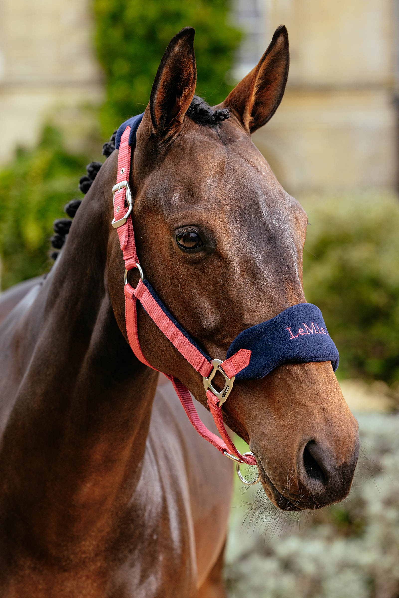 LeMieux Vogue grime & leietau set