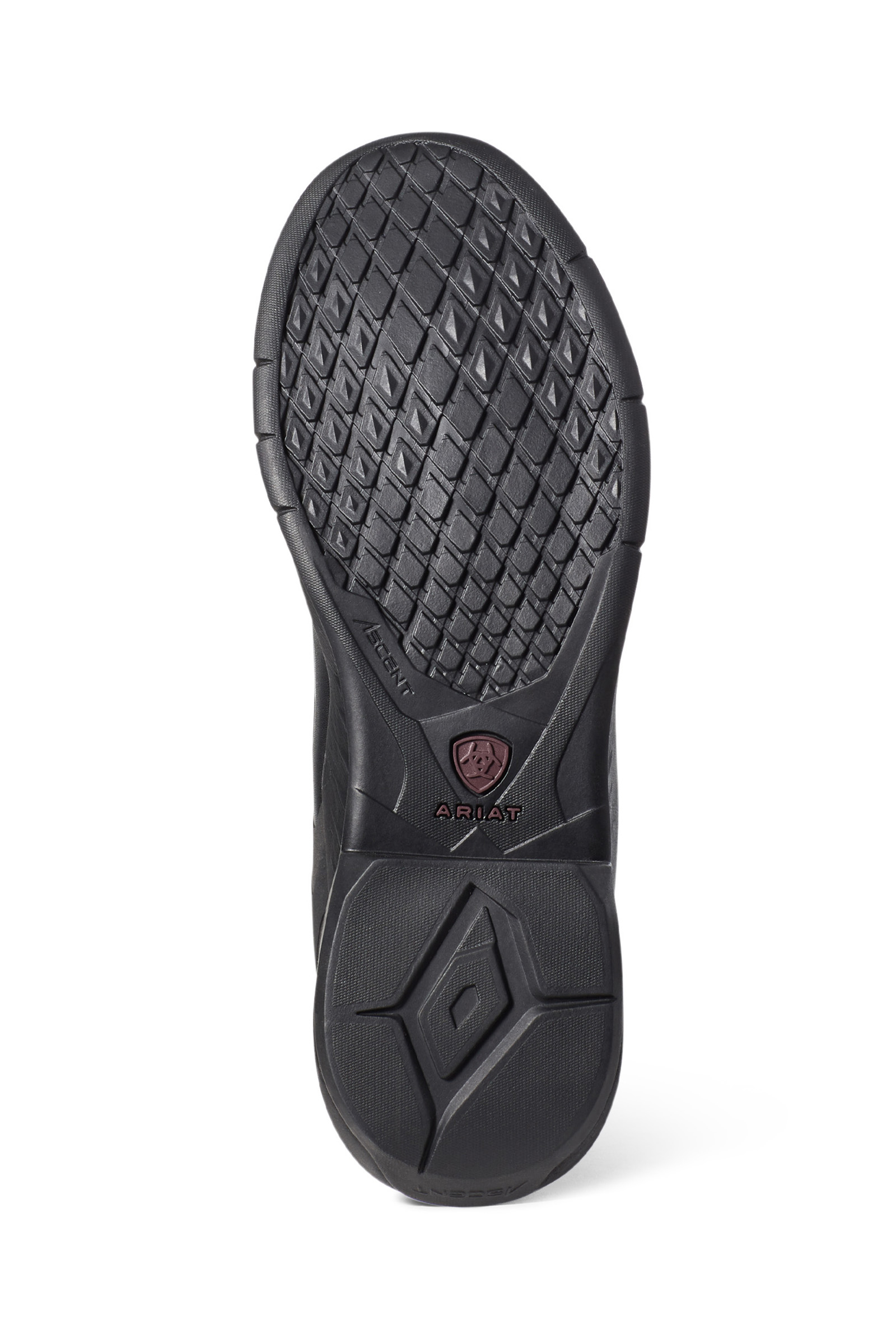 Ariat Ascent ridest&oslash;vler, dame