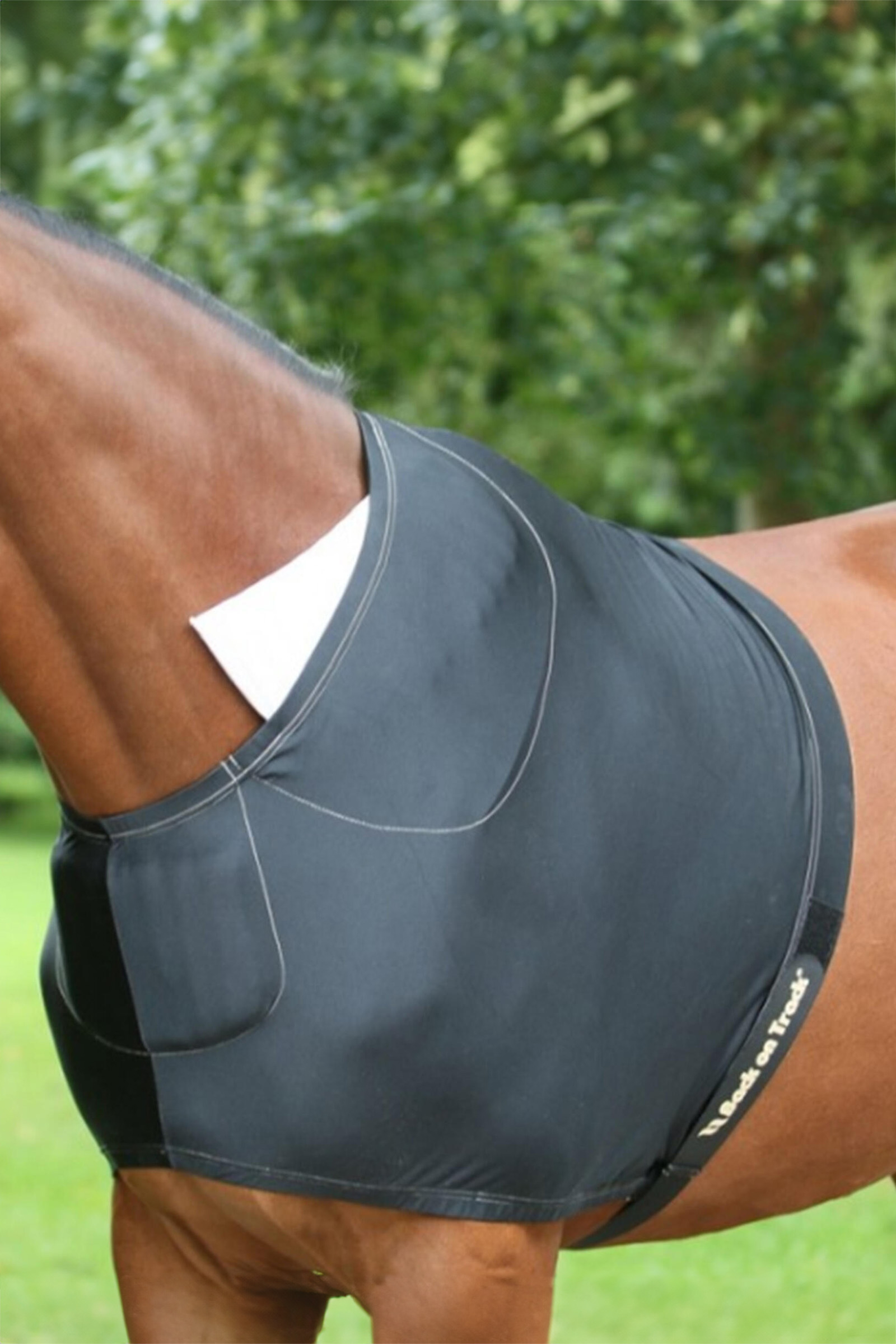 Back on Track bogbeskytter