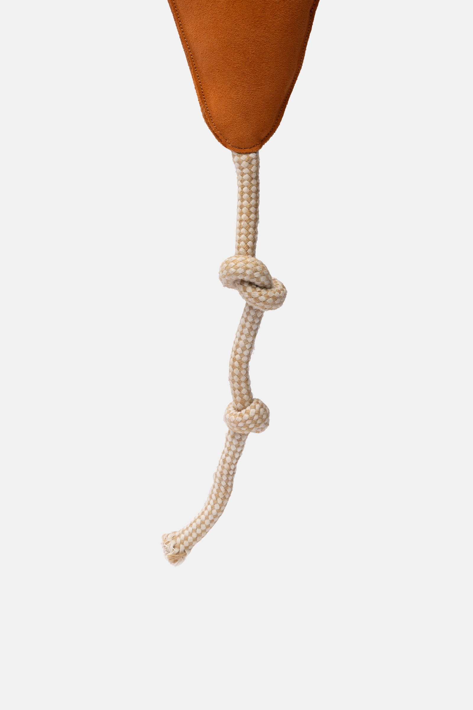 Horze l&aelig;rhesteleke