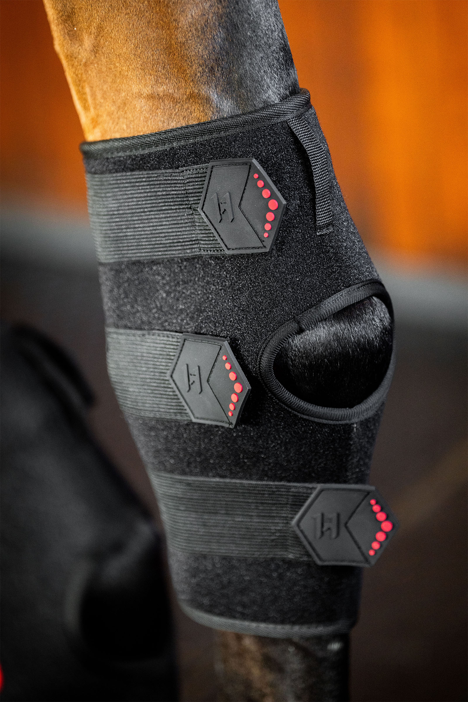 Horseware LED r&oslash;dt lys terapi hasebelegg (1 stk.)